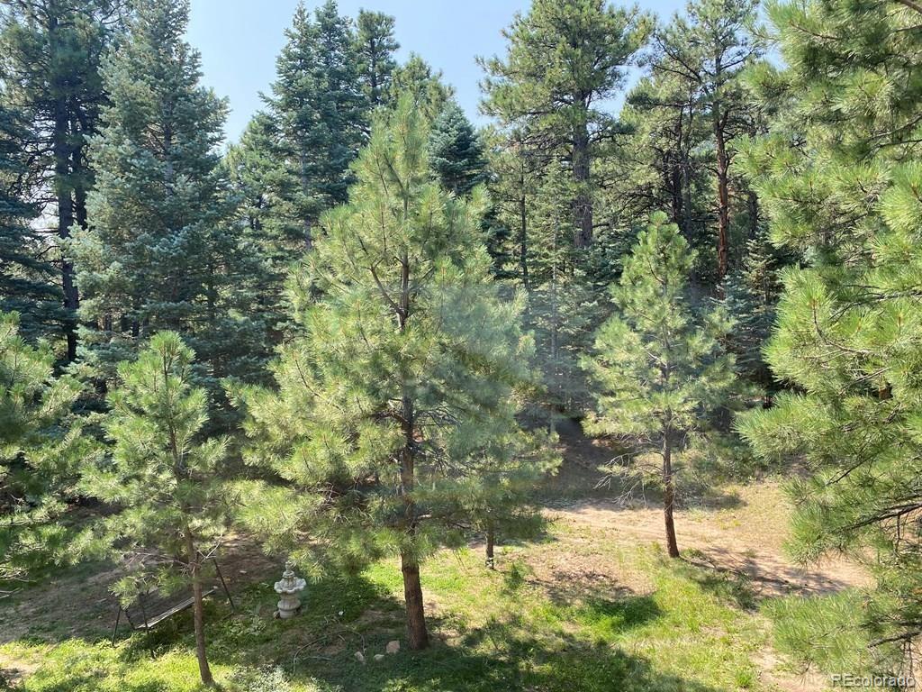 MLS Image #17 for 8268  hess drive,rye, Colorado