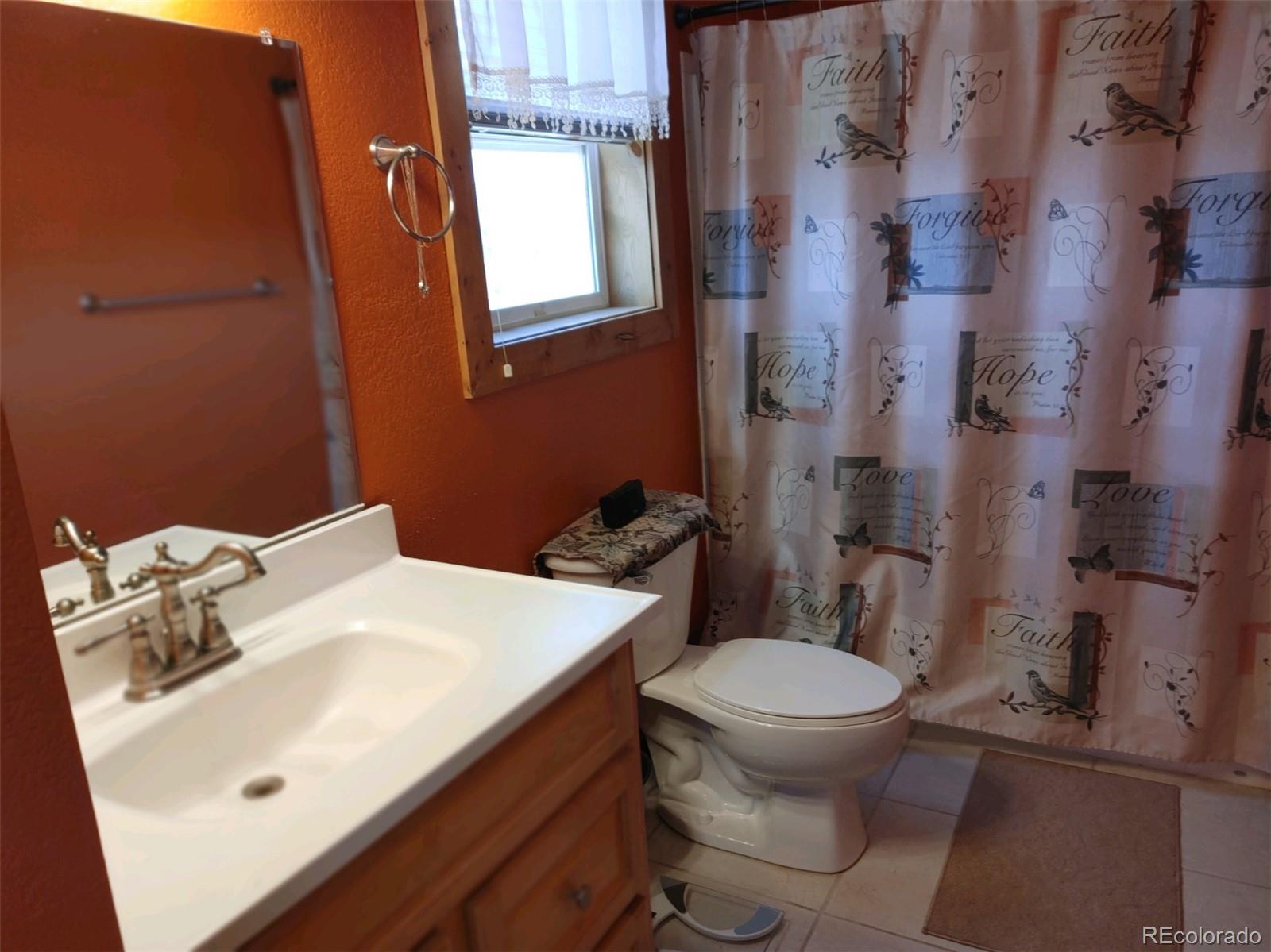 MLS Image #11 for 326 e 10th street,leadville, Colorado