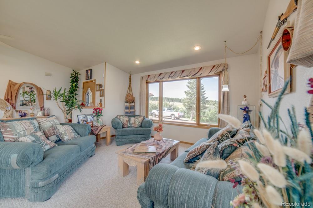 MLS Image #16 for 10624  baxter ,rye, Colorado