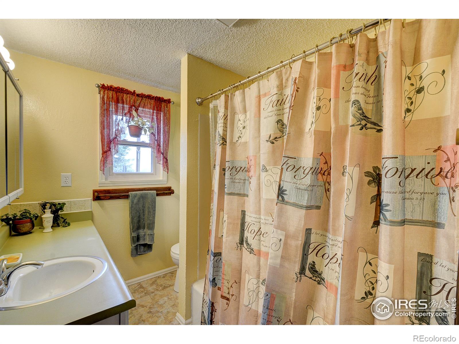 MLS Image #11 for 3401  erving court,berthoud, Colorado