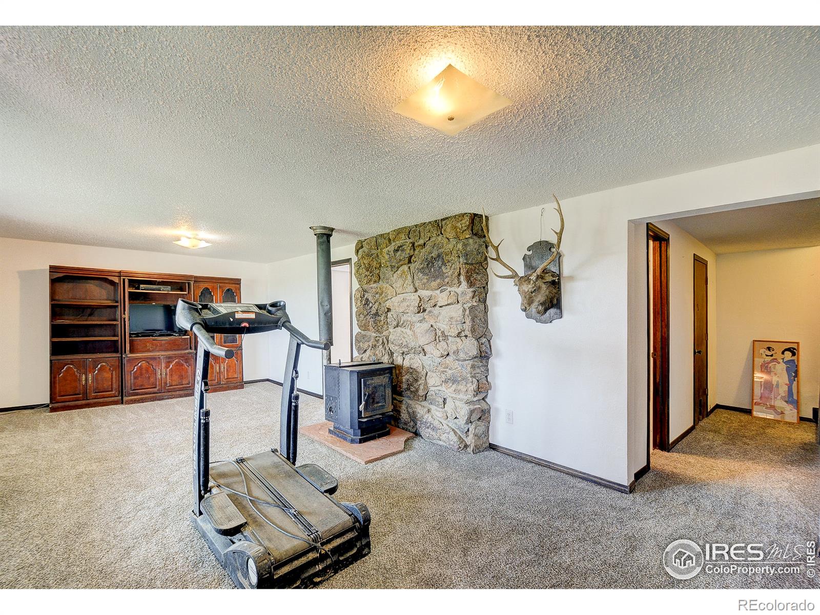 MLS Image #17 for 3401  erving court,berthoud, Colorado