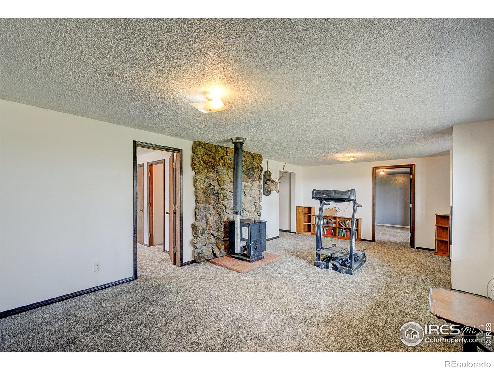 MLS Image #18 for 3401  erving court,berthoud, Colorado