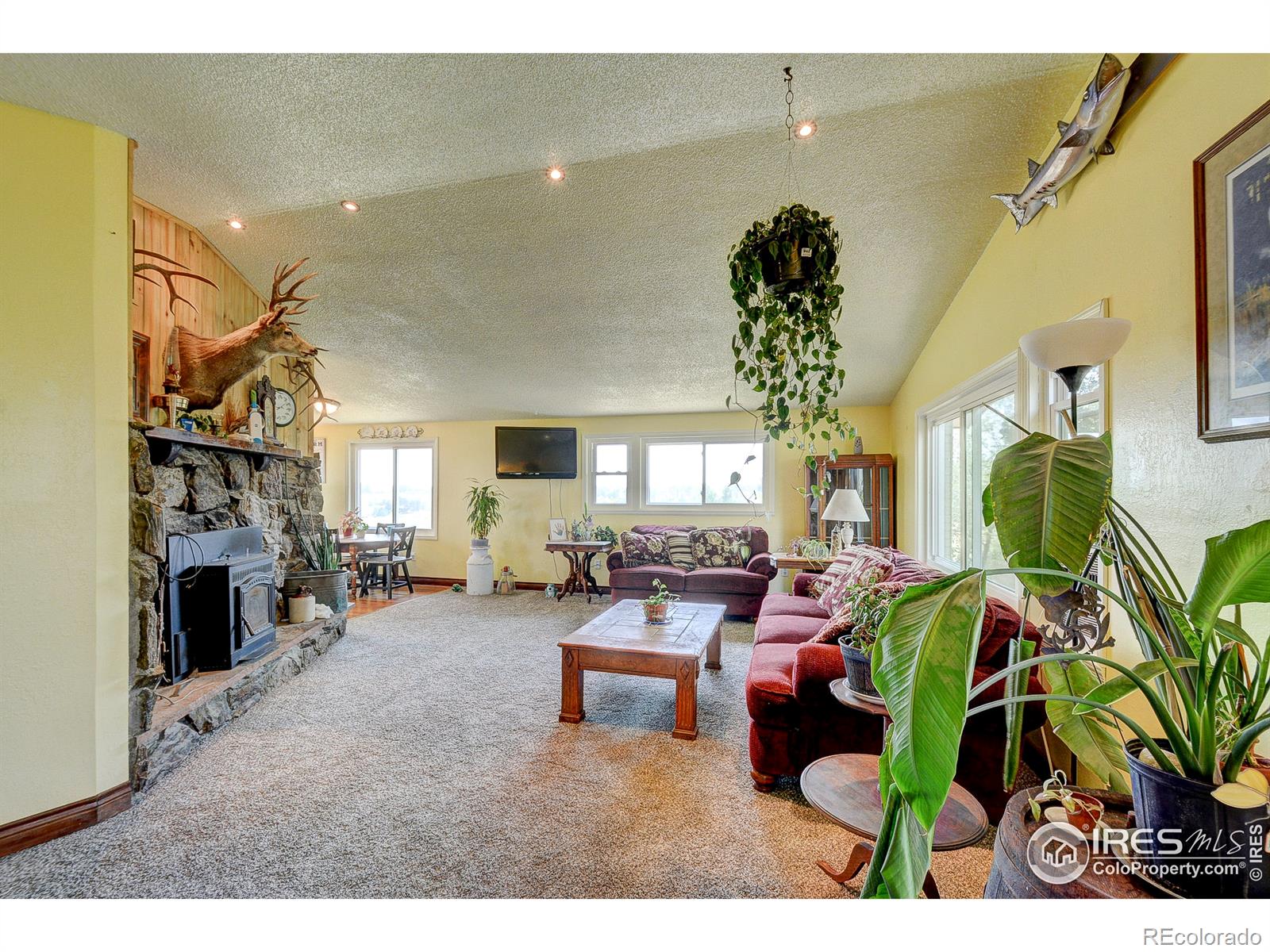 MLS Image #3 for 3401  erving court,berthoud, Colorado