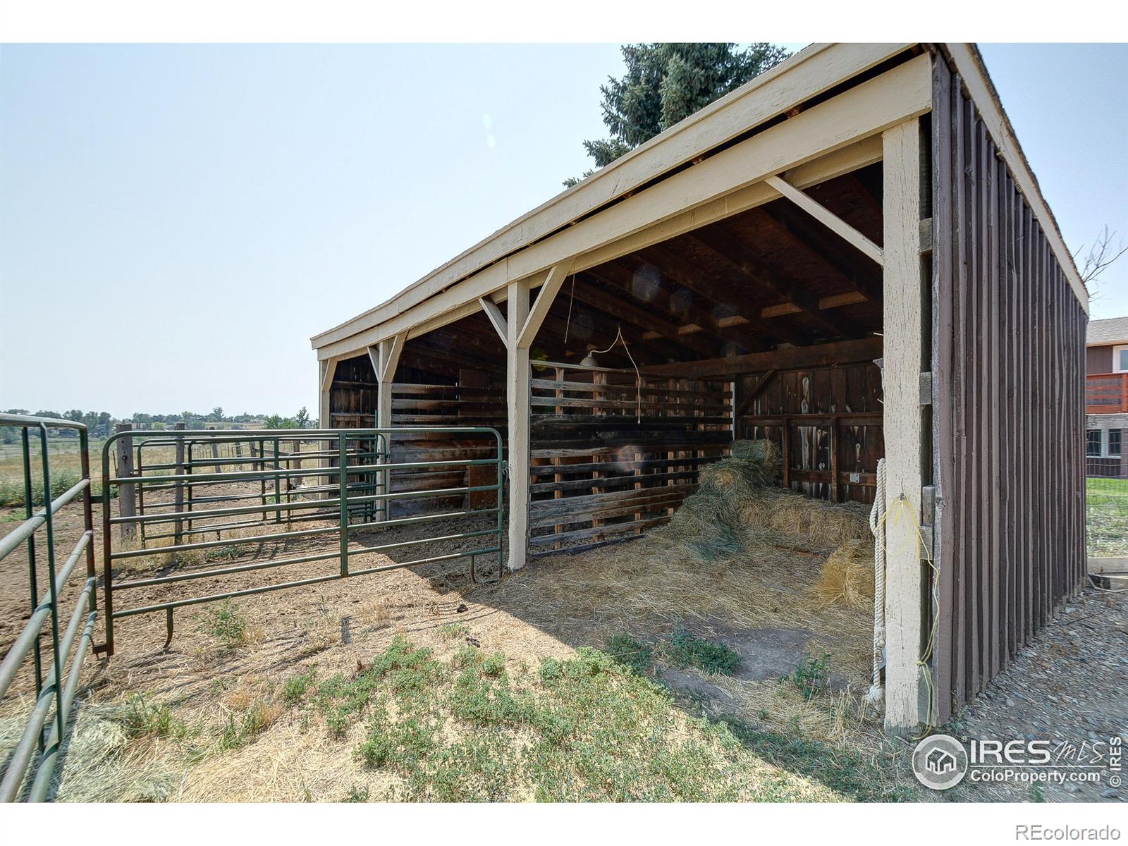 MLS Image #32 for 3401  erving court,berthoud, Colorado
