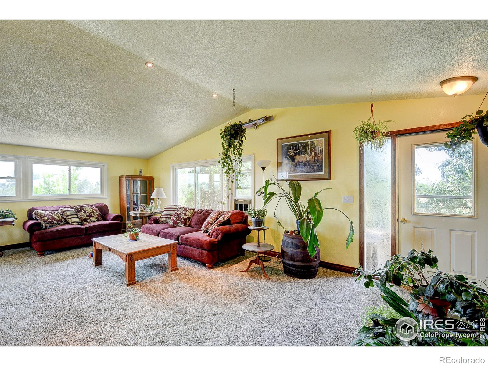 MLS Image #4 for 3401  erving court,berthoud, Colorado