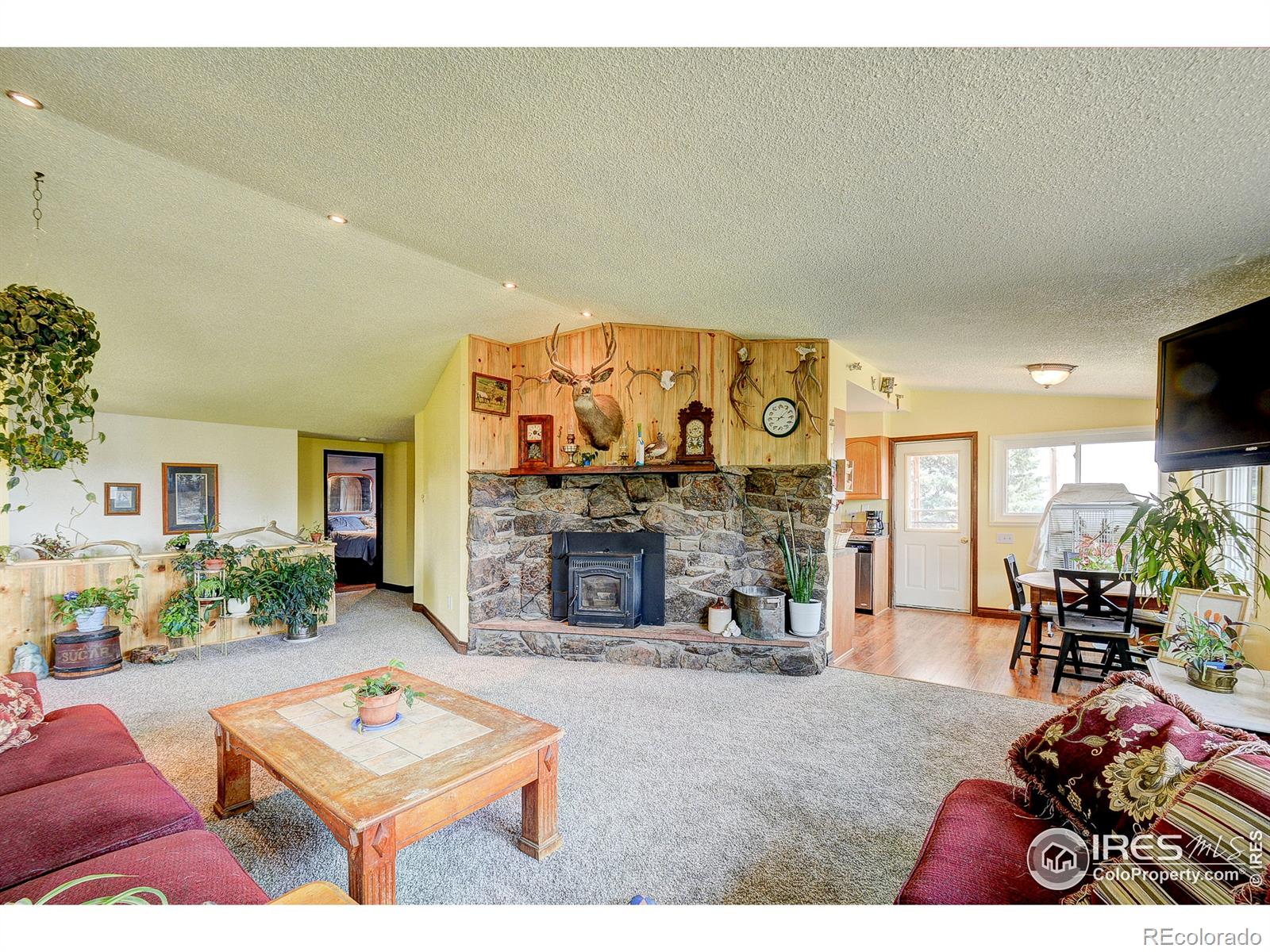 MLS Image #5 for 3401  erving court,berthoud, Colorado