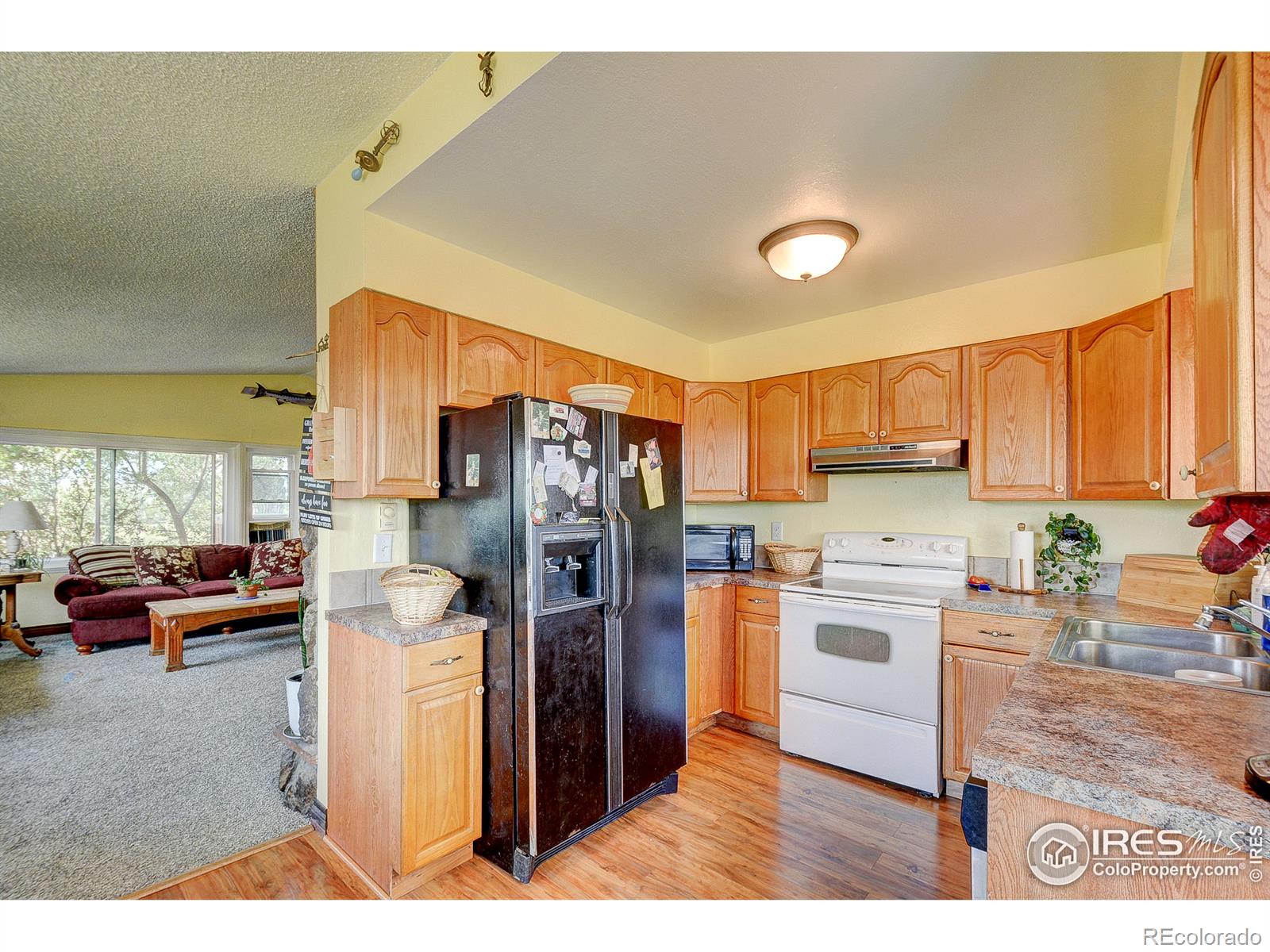 MLS Image #8 for 3401  erving court,berthoud, Colorado