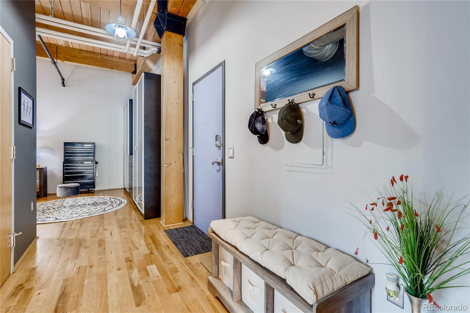 MLS Image #3 for 2955  inca street,denver, Colorado