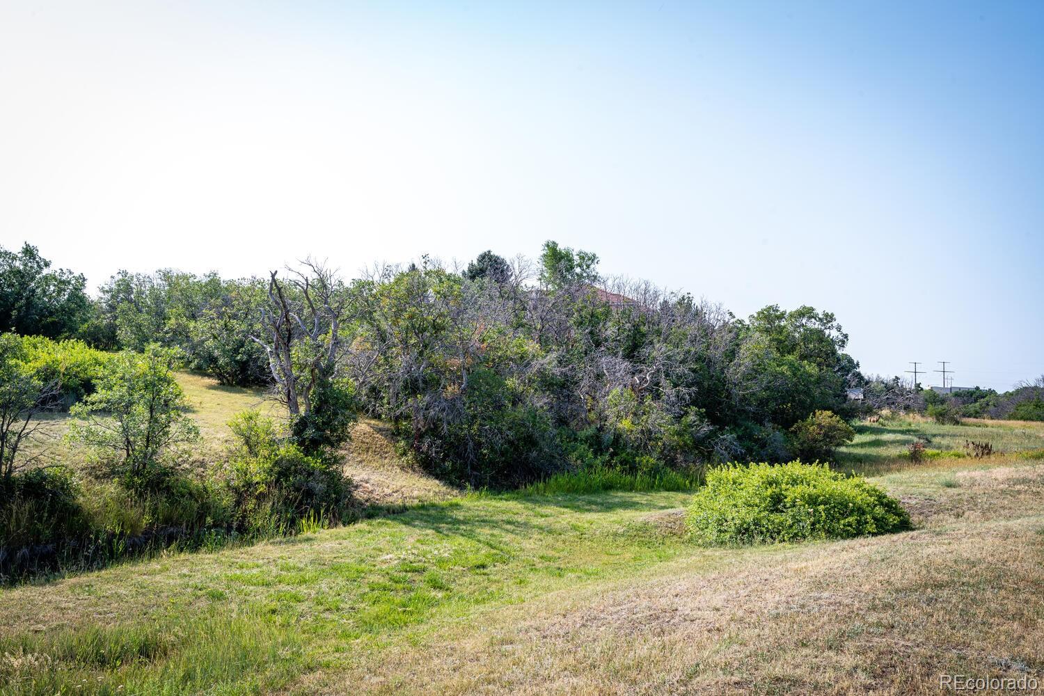 MLS Image #37 for 7807  saxeborough drive,castle rock, Colorado