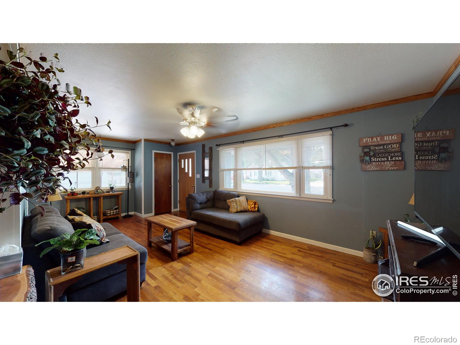 MLS Image #5 for 323  western avenue,brush, Colorado