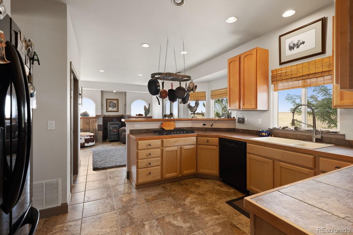 MLS Image #17 for 39533  buffalo run circle,kiowa, Colorado