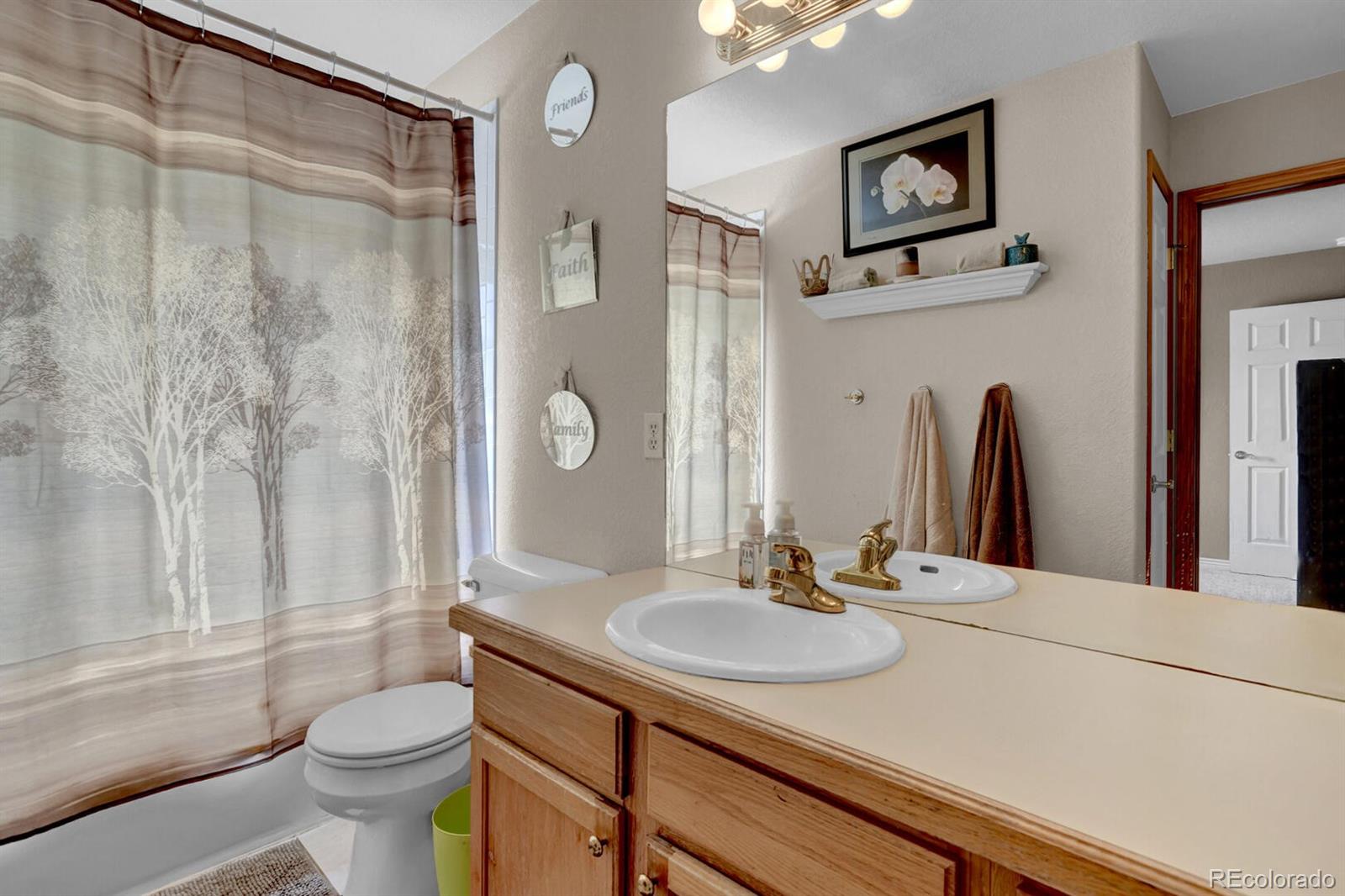 MLS Image #22 for 266  candletree circle,monument, Colorado