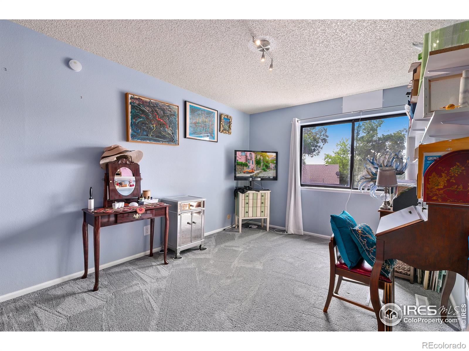 MLS Image #12 for 2937  rams lane,fort collins, Colorado