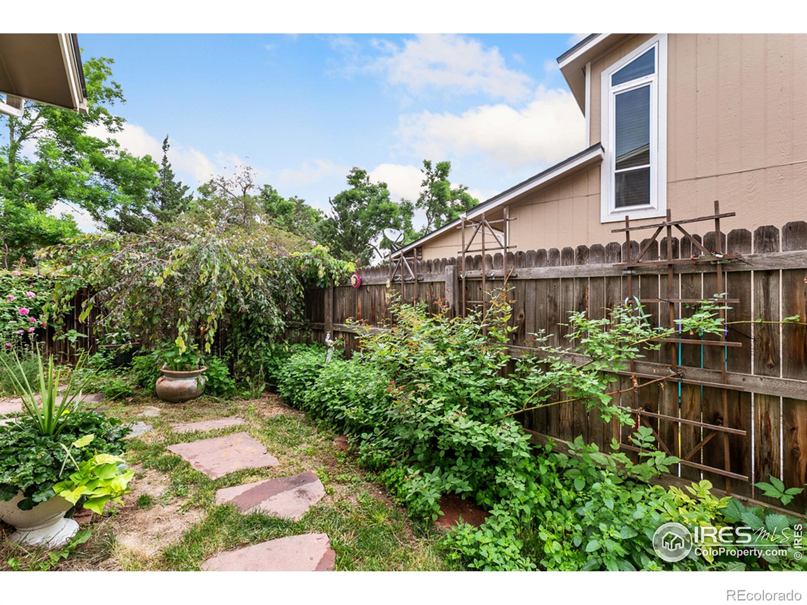 MLS Image #15 for 2937  rams lane,fort collins, Colorado