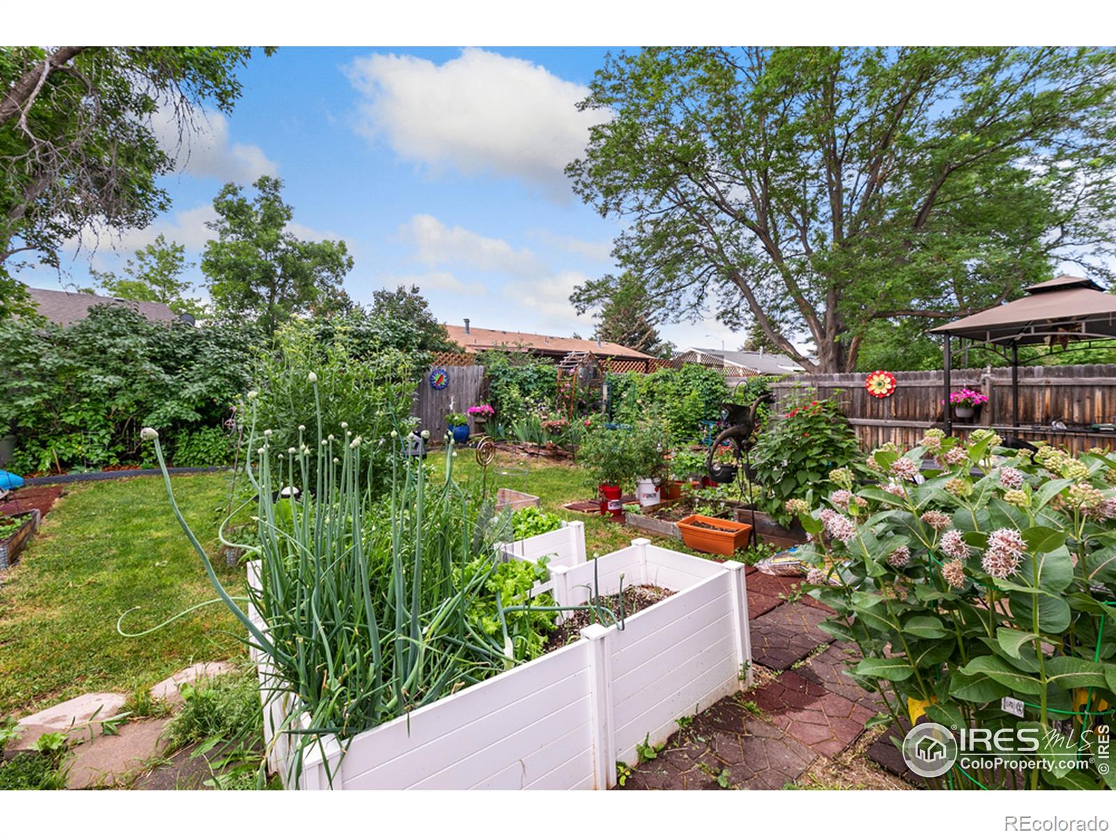 MLS Image #16 for 2937  rams lane,fort collins, Colorado