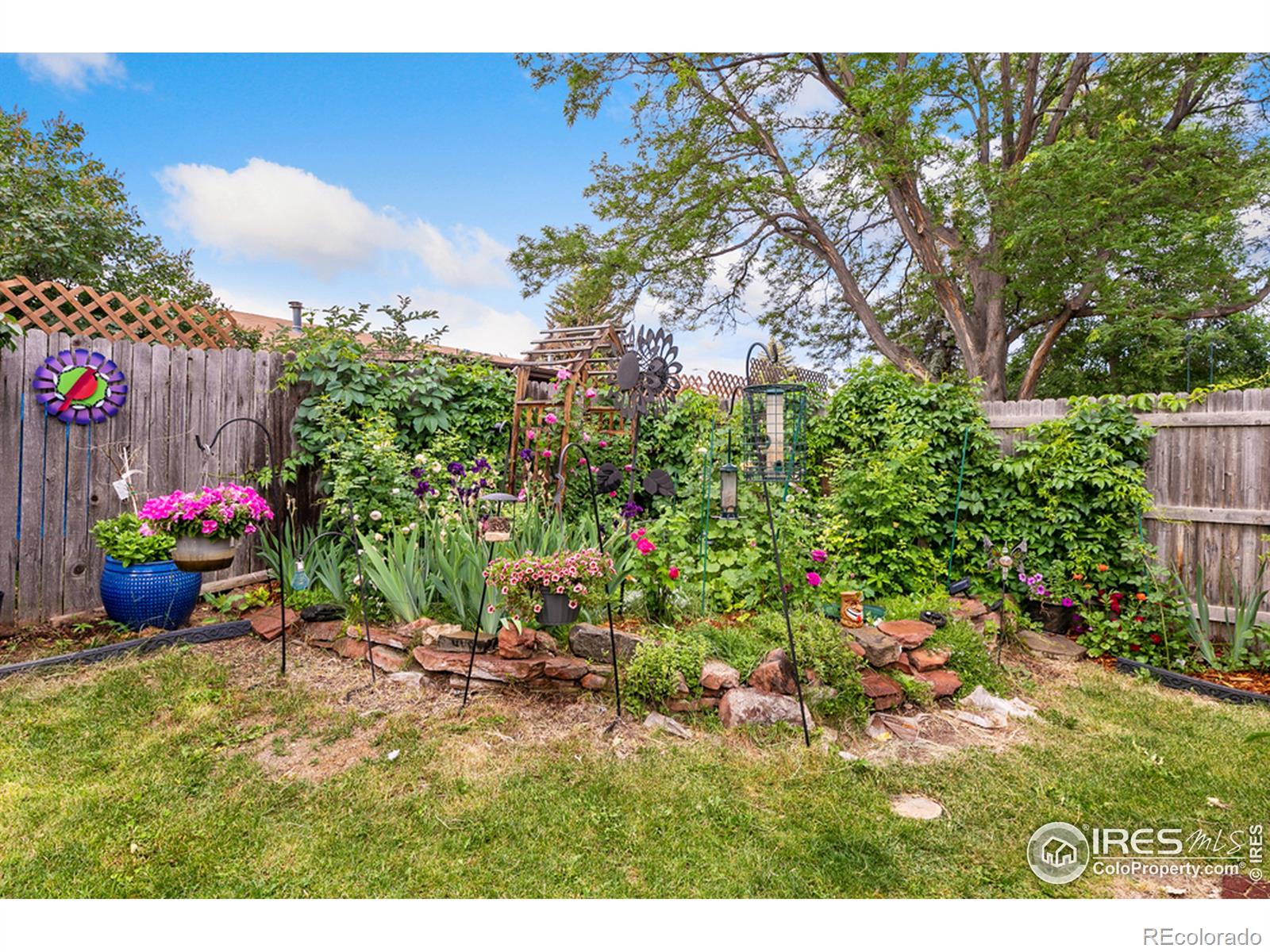 MLS Image #18 for 2937  rams lane,fort collins, Colorado