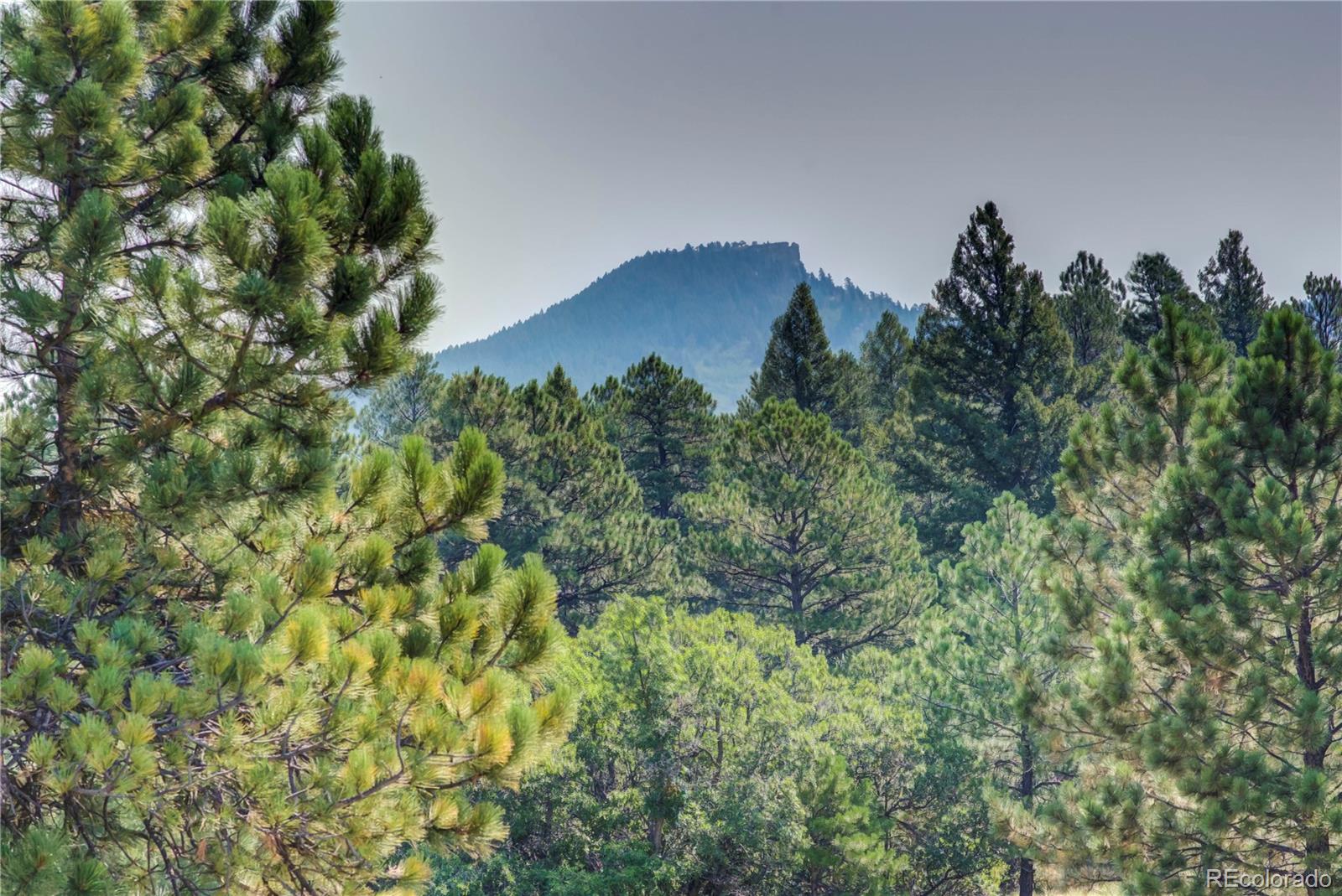 MLS Image #7 for 13147 s perry park road,larkspur, Colorado