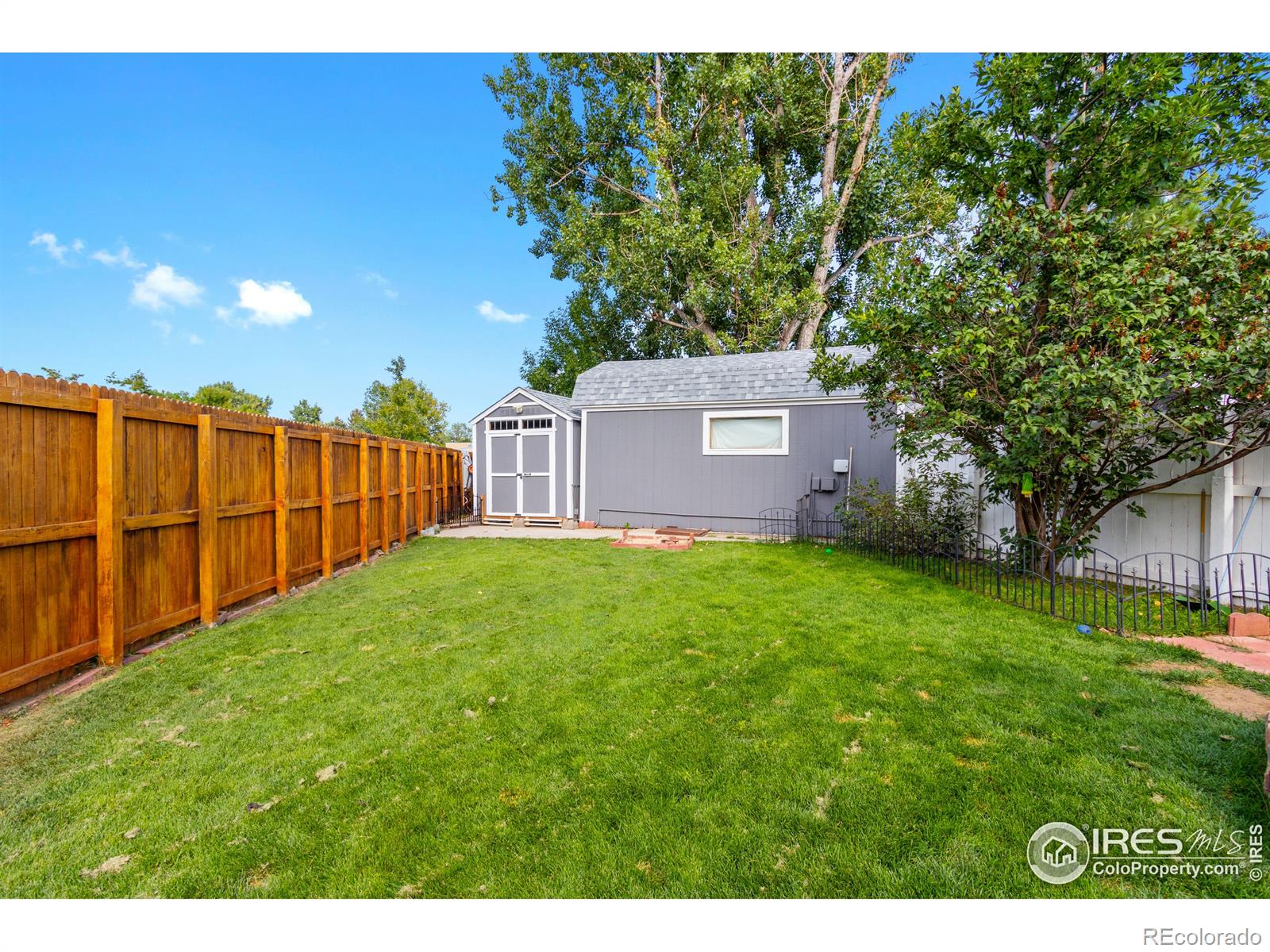 MLS Image #36 for 1409  adonis court,lafayette, Colorado