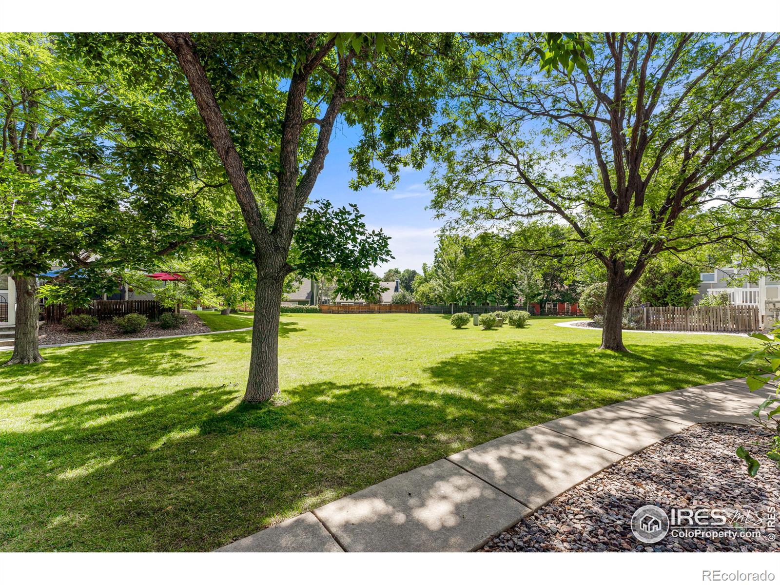 MLS Image #3 for 364  owl drive,louisville, Colorado