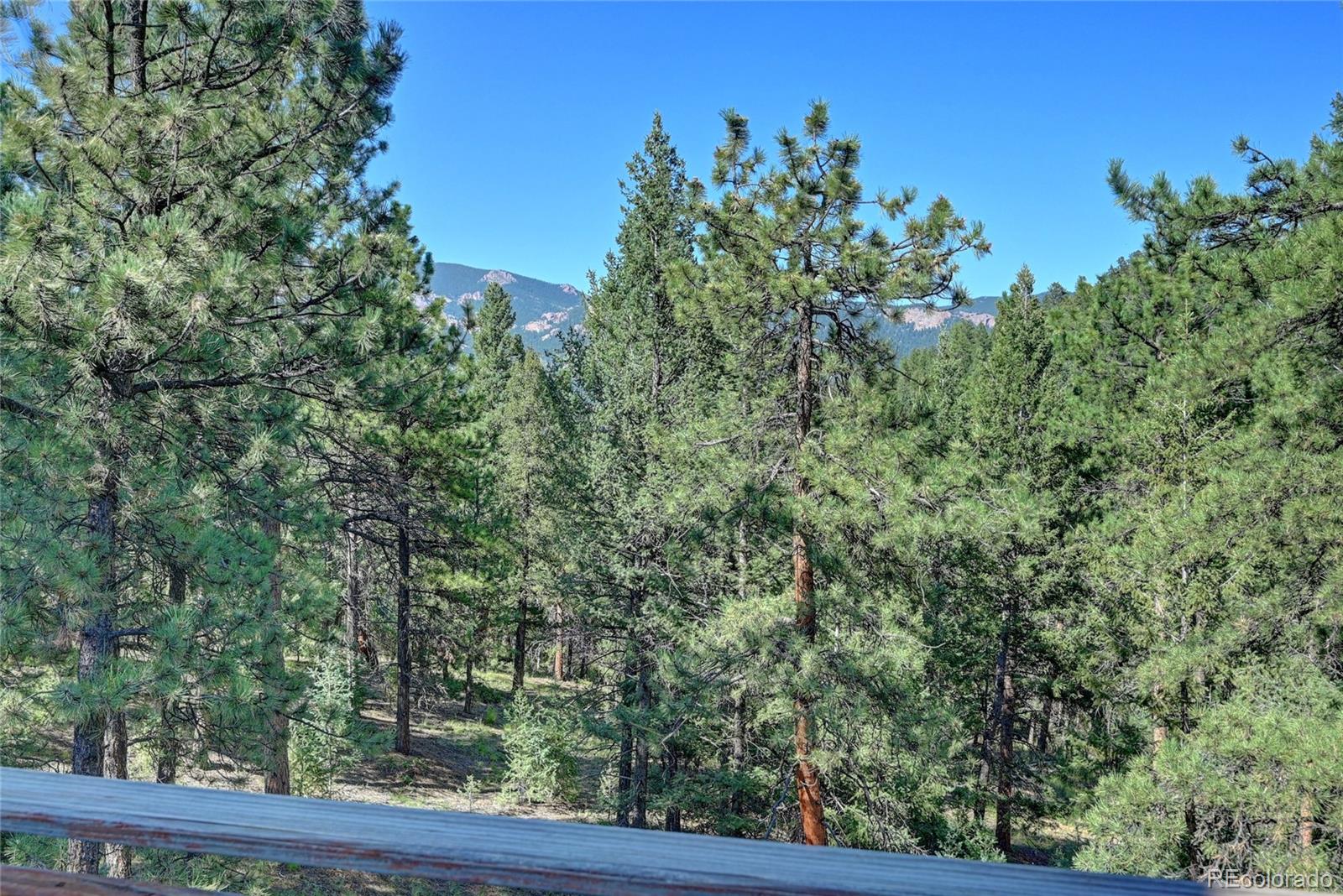 MLS Image #33 for 34273  ponca road,pine, Colorado