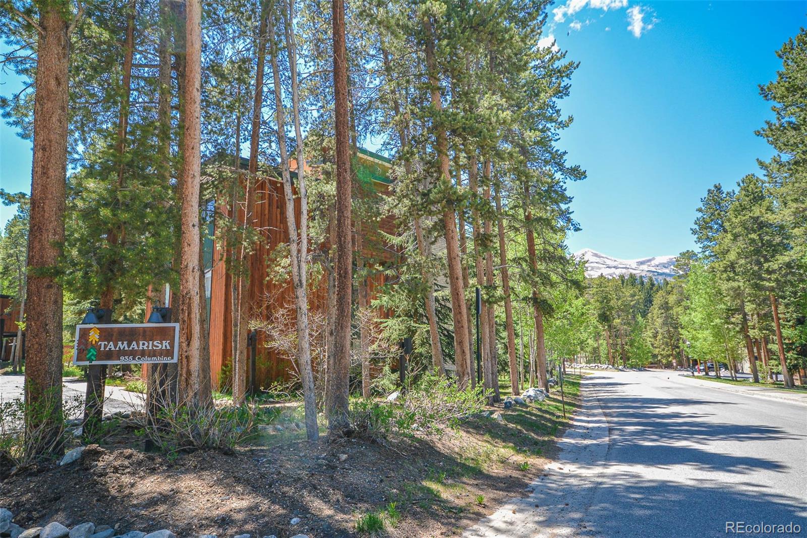 MLS Image #20 for 935  columbine drive,breckenridge, Colorado