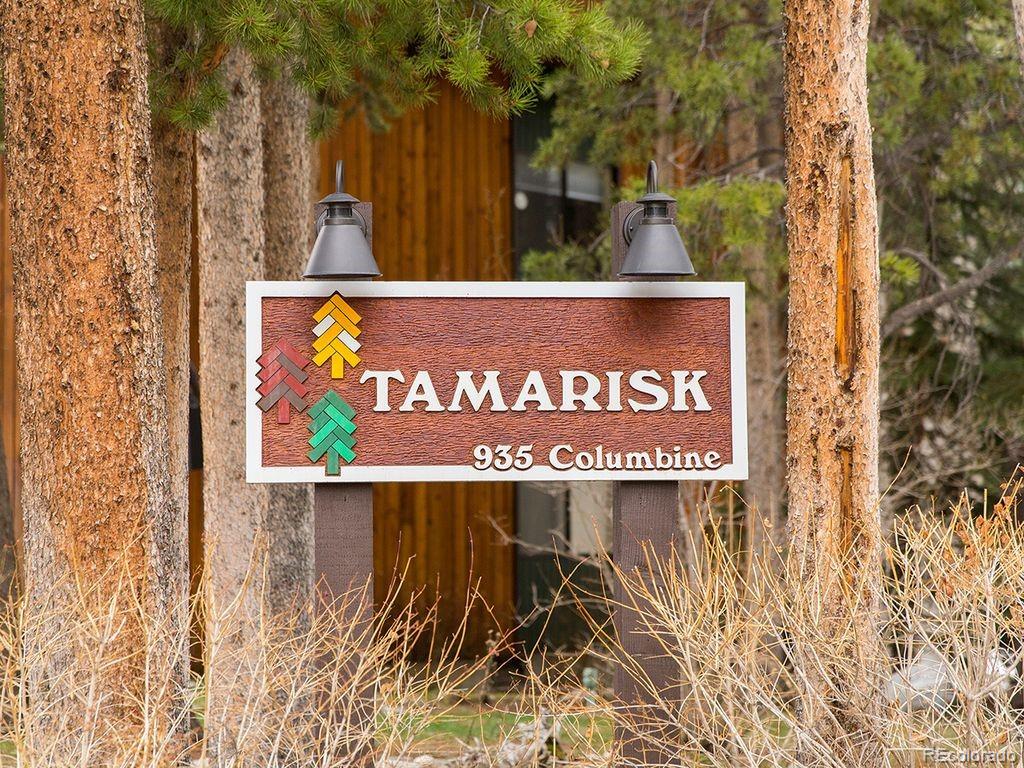 MLS Image #24 for 935  columbine drive,breckenridge, Colorado