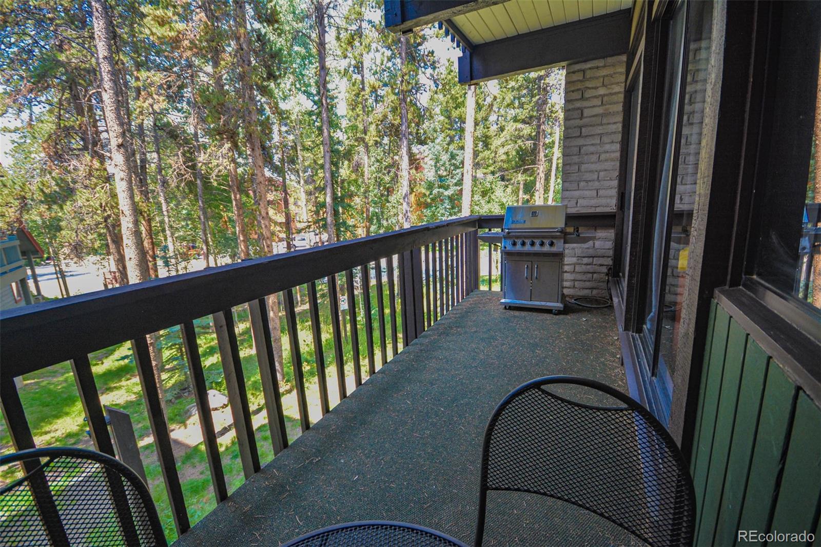 MLS Image #6 for 935  columbine drive,breckenridge, Colorado