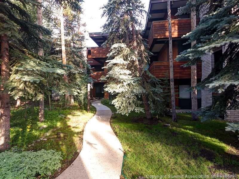 MLS Image #9 for 935  columbine drive,breckenridge, Colorado