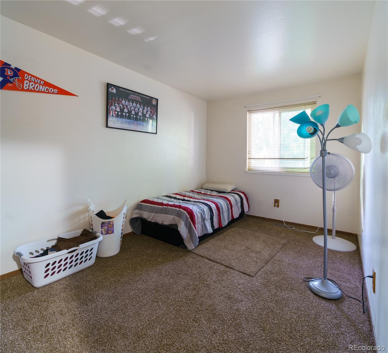 MLS Image #22 for 3794 s pitkin court,aurora, Colorado