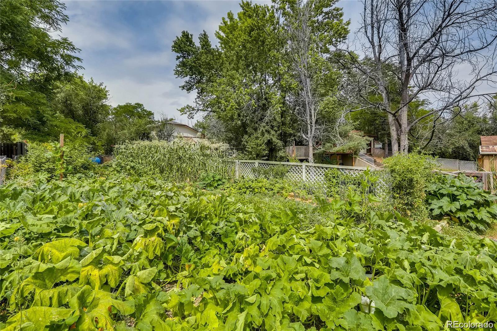 MLS Image #37 for 3794 s pitkin court,aurora, Colorado