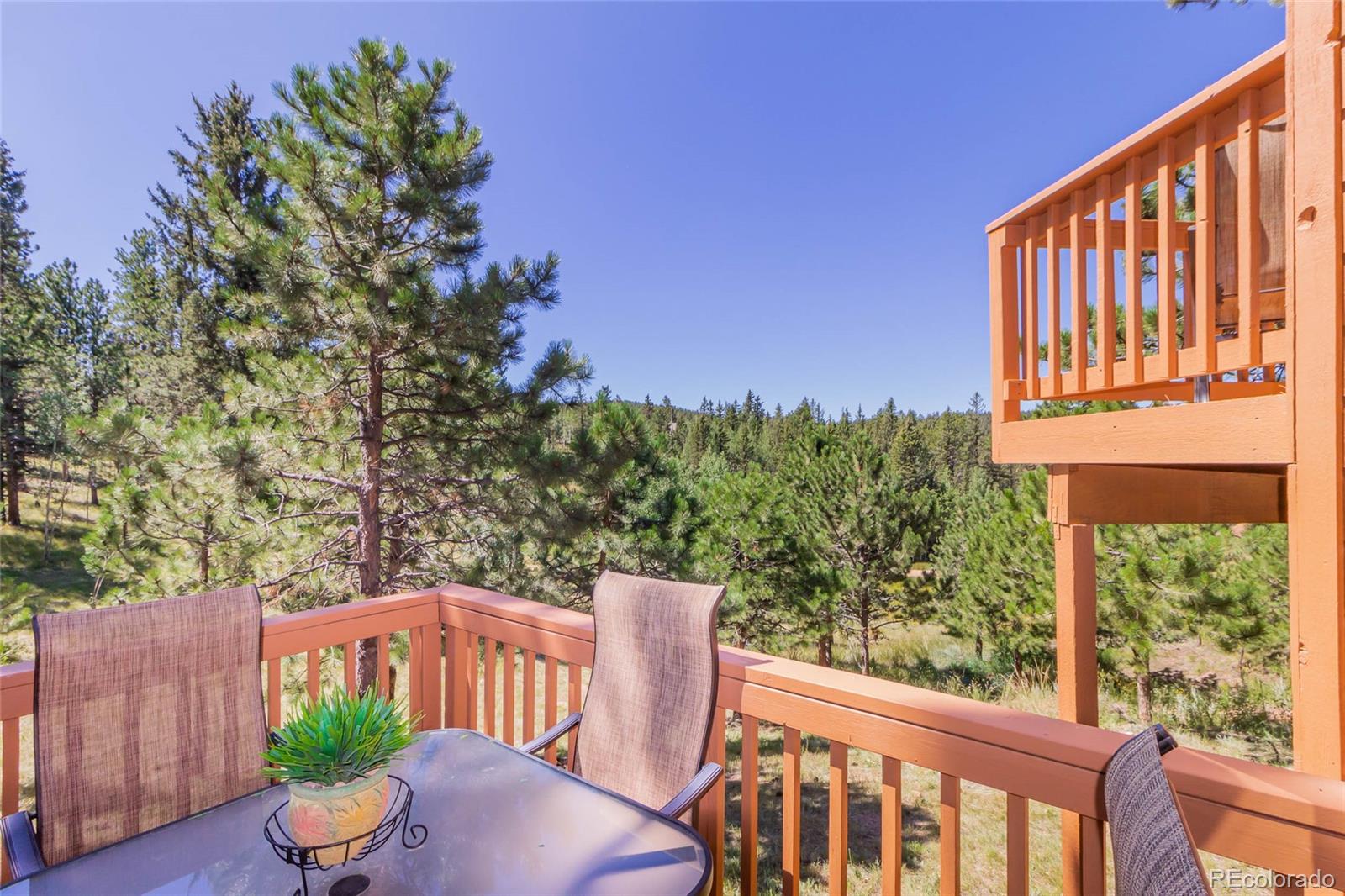 MLS Image #29 for 221  rutgers place,woodland park, Colorado