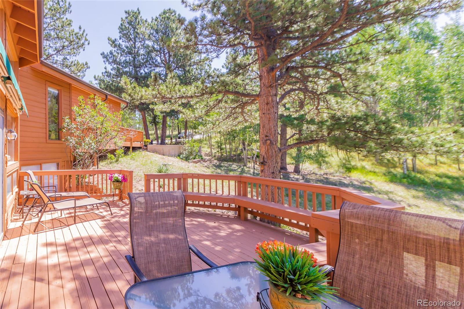 MLS Image #30 for 221  rutgers place,woodland park, Colorado