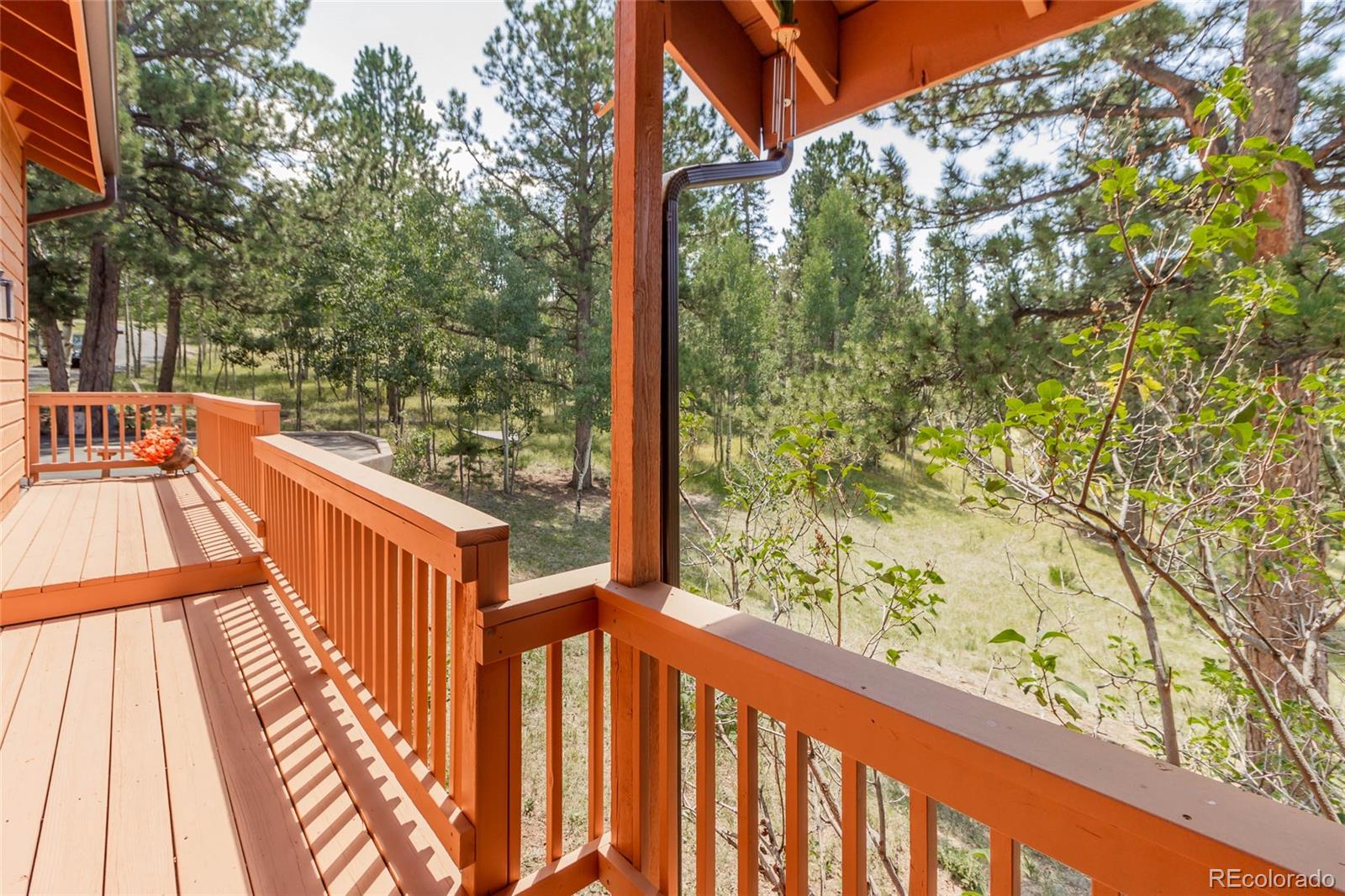 MLS Image #31 for 221  rutgers place,woodland park, Colorado