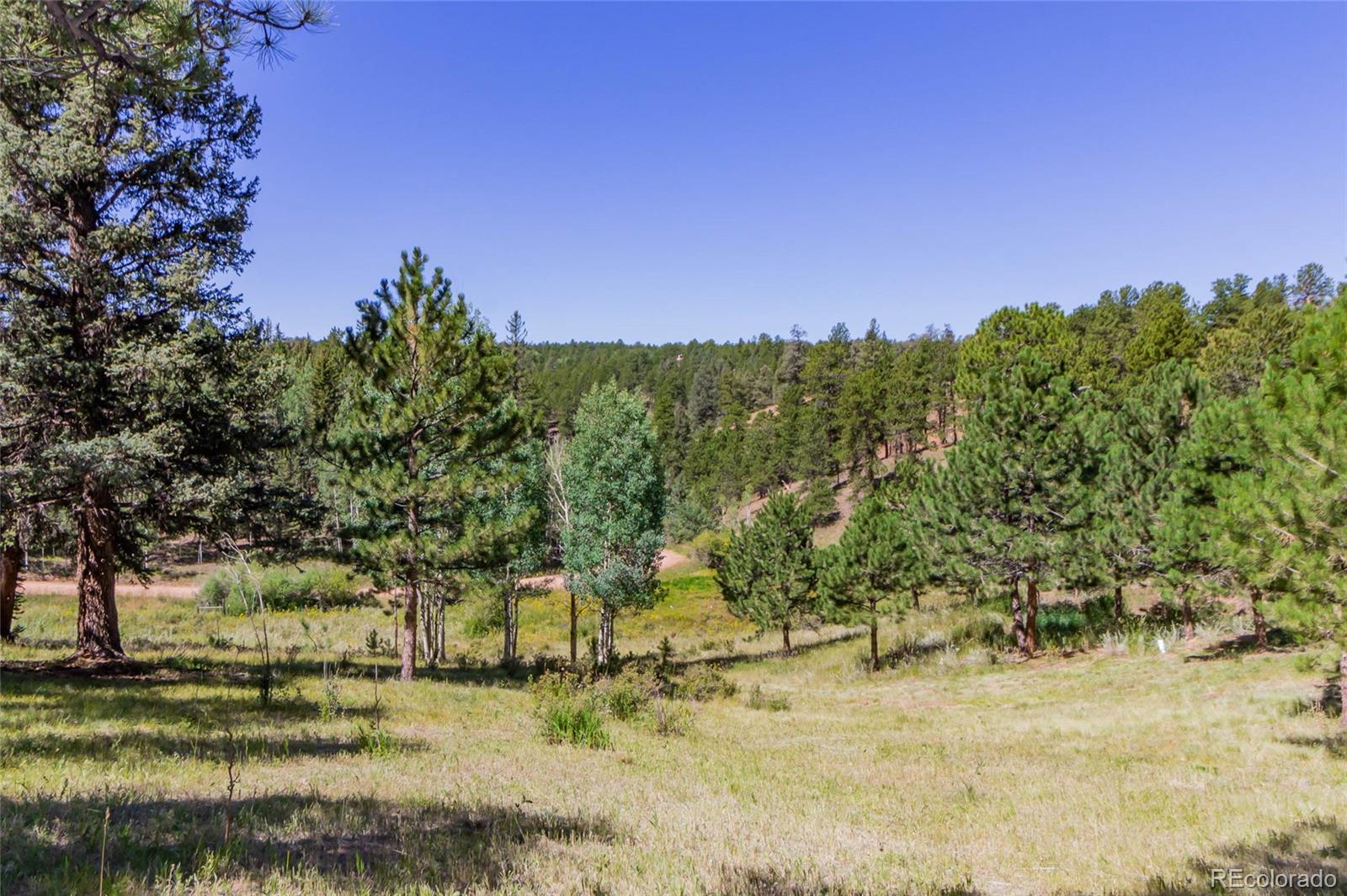 MLS Image #35 for 221  rutgers place,woodland park, Colorado