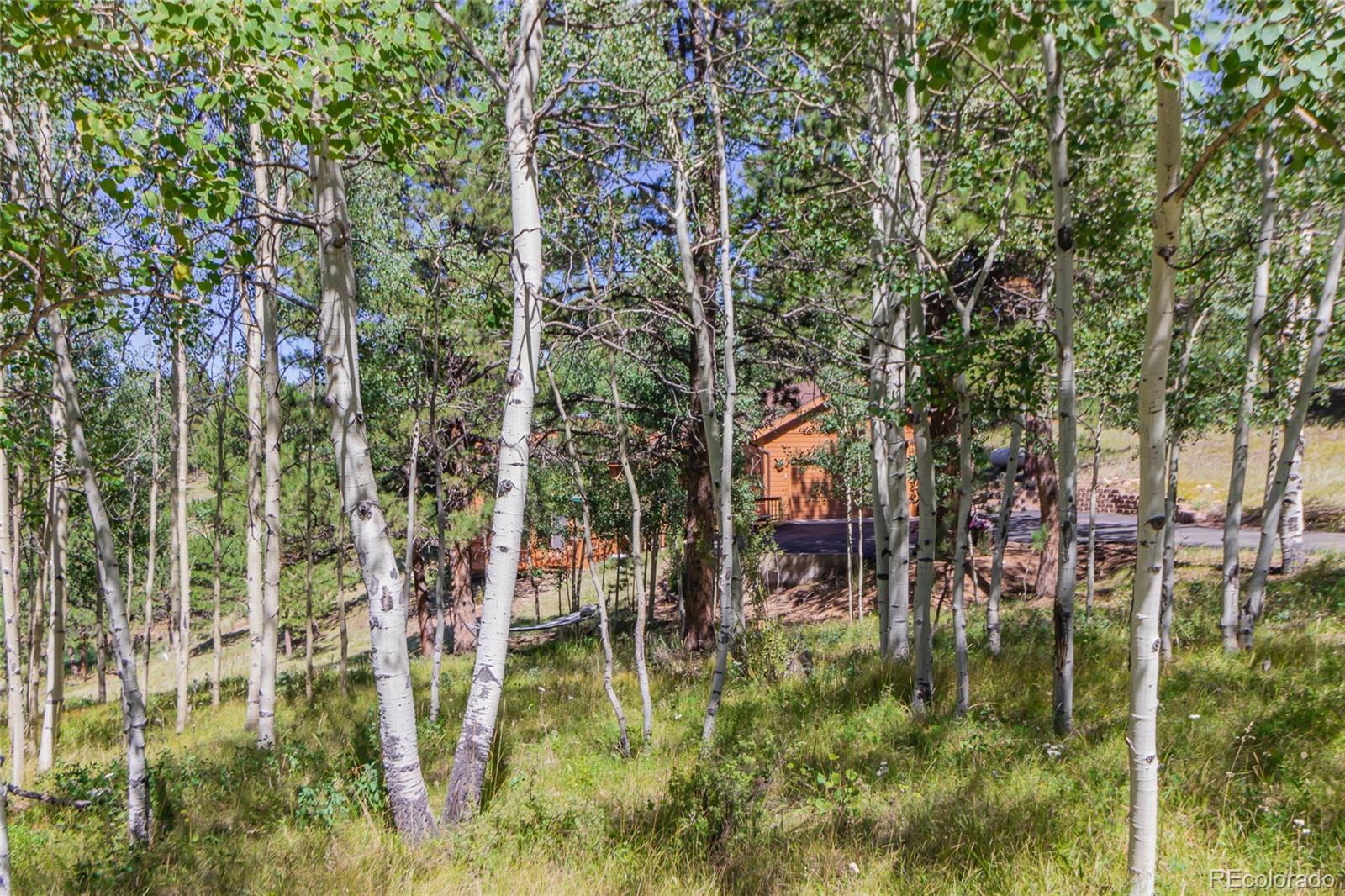 MLS Image #37 for 221  rutgers place,woodland park, Colorado