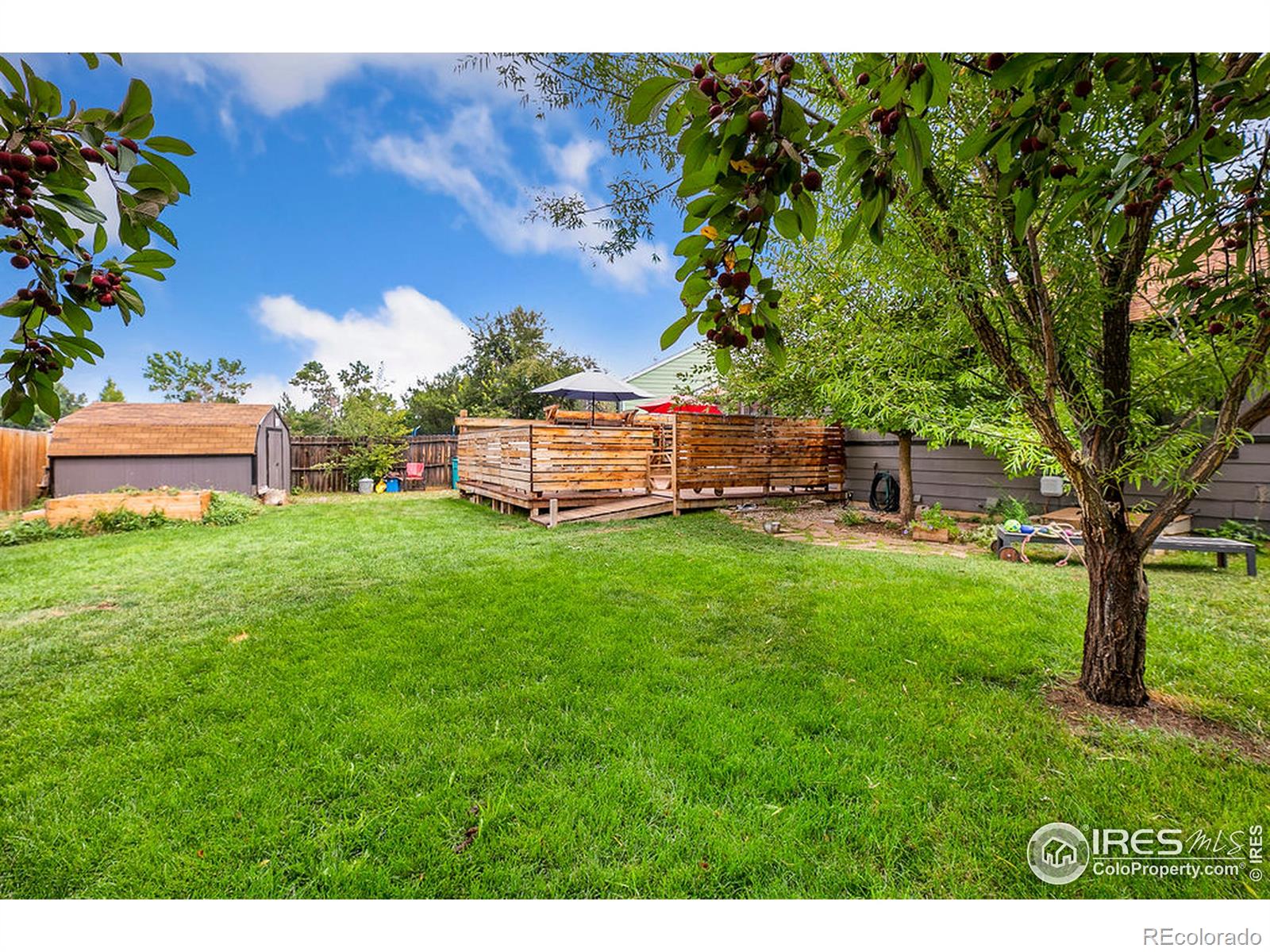 MLS Image #31 for 3907  asbury drive,fort collins, Colorado