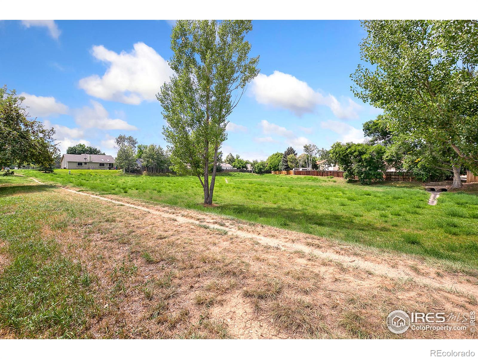 MLS Image #33 for 3907  asbury drive,fort collins, Colorado