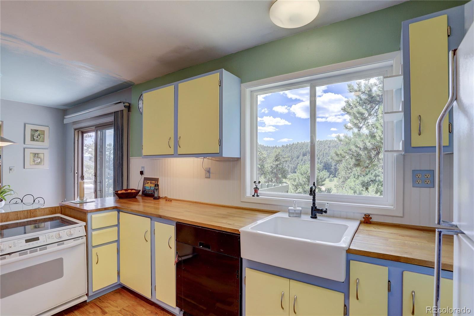 MLS Image #19 for 5787  high drive,evergreen, Colorado