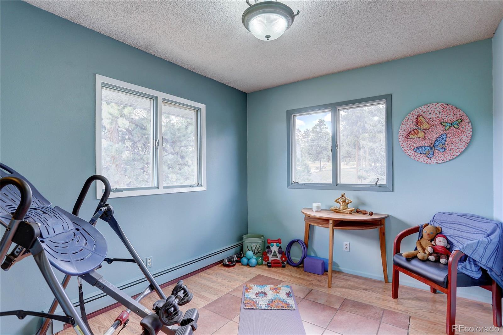 MLS Image #24 for 5787  high drive,evergreen, Colorado