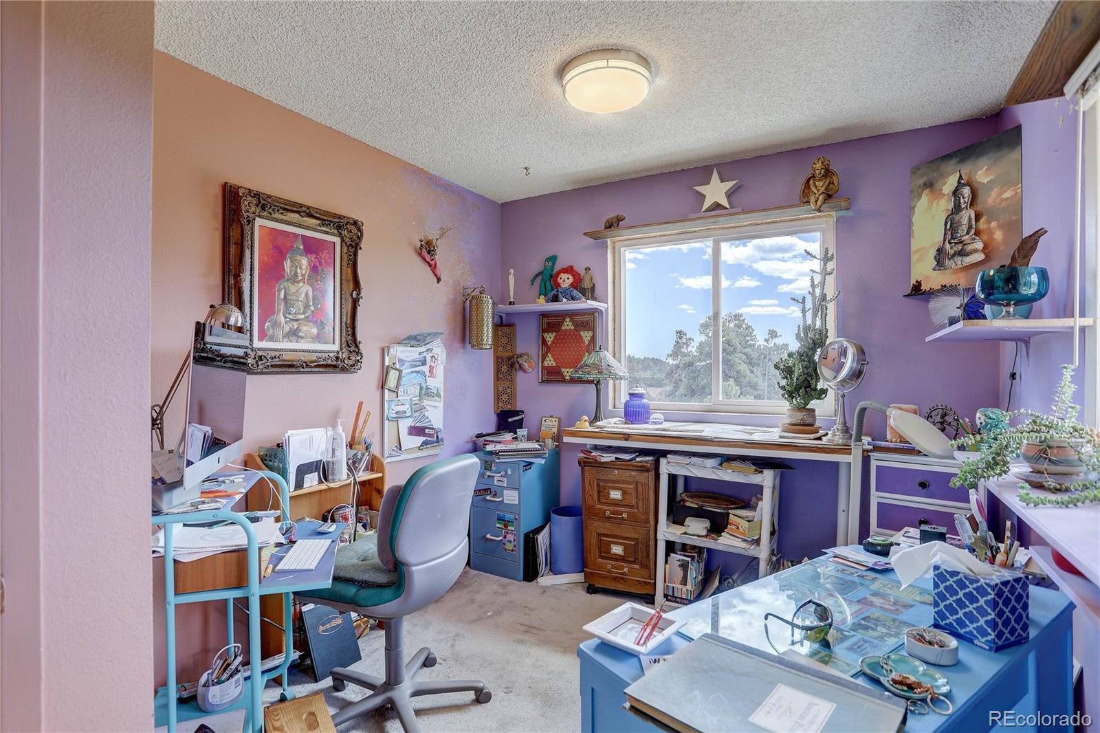 MLS Image #26 for 5787  high drive,evergreen, Colorado
