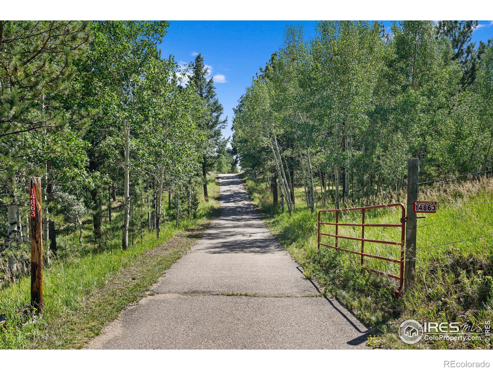 MLS Image #0 for 14863 s wandcrest drive,pine, Colorado