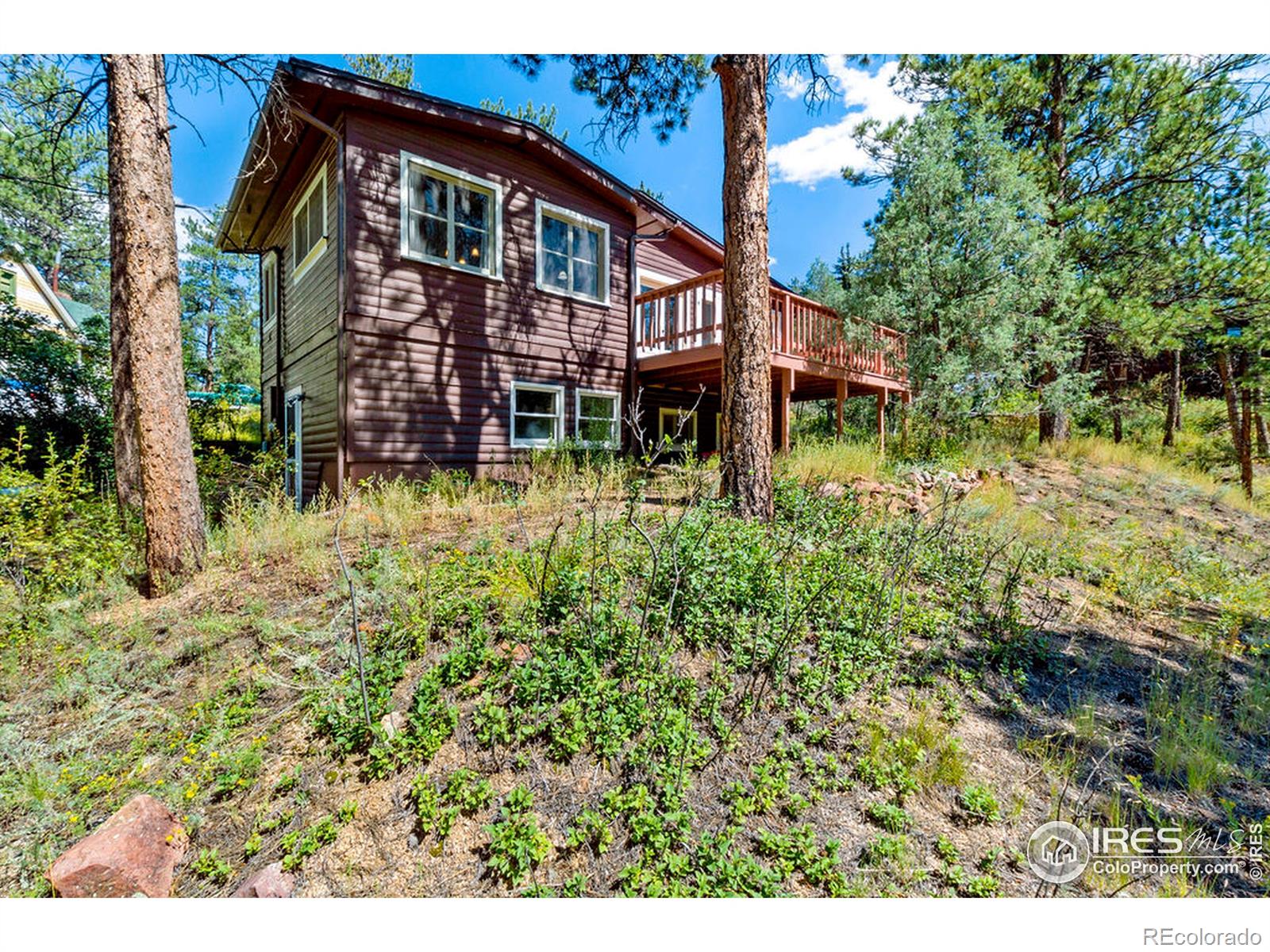 MLS Image #29 for 24123  lincoln avenue,buffalo creek, Colorado