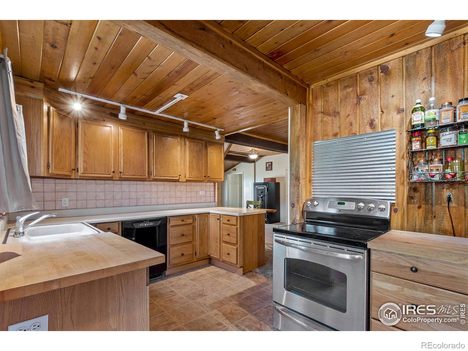 MLS Image #6 for 24123  lincoln avenue,buffalo creek, Colorado