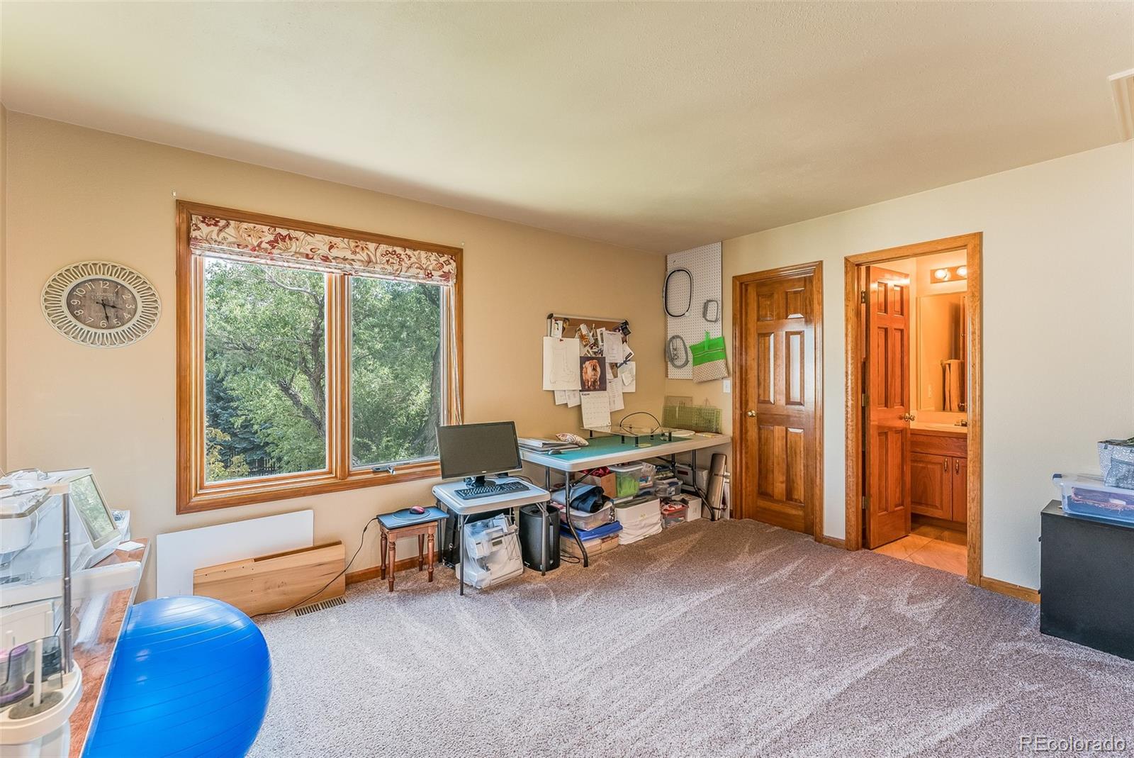 MLS Image #23 for 2528 s xenon court,denver, Colorado