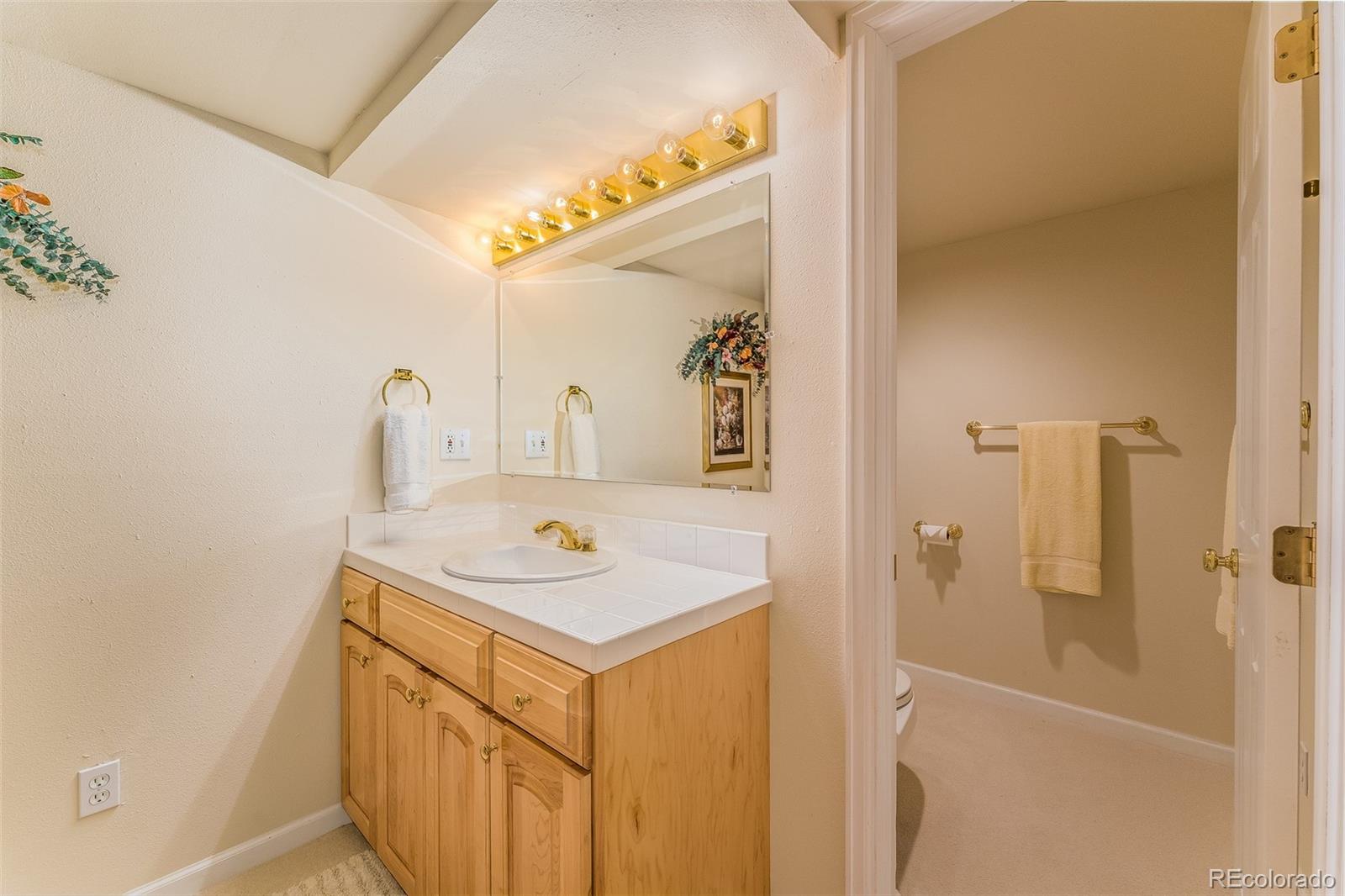 MLS Image #31 for 2528 s xenon court,denver, Colorado