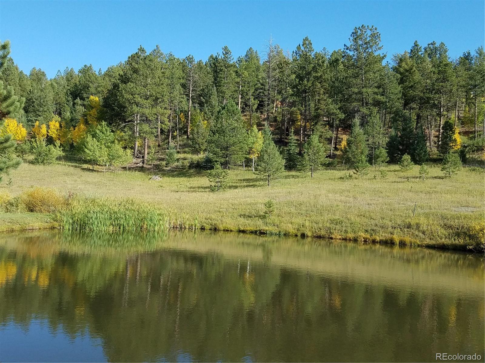 MLS Image #9 for 97  hedges circle,woodland park, Colorado