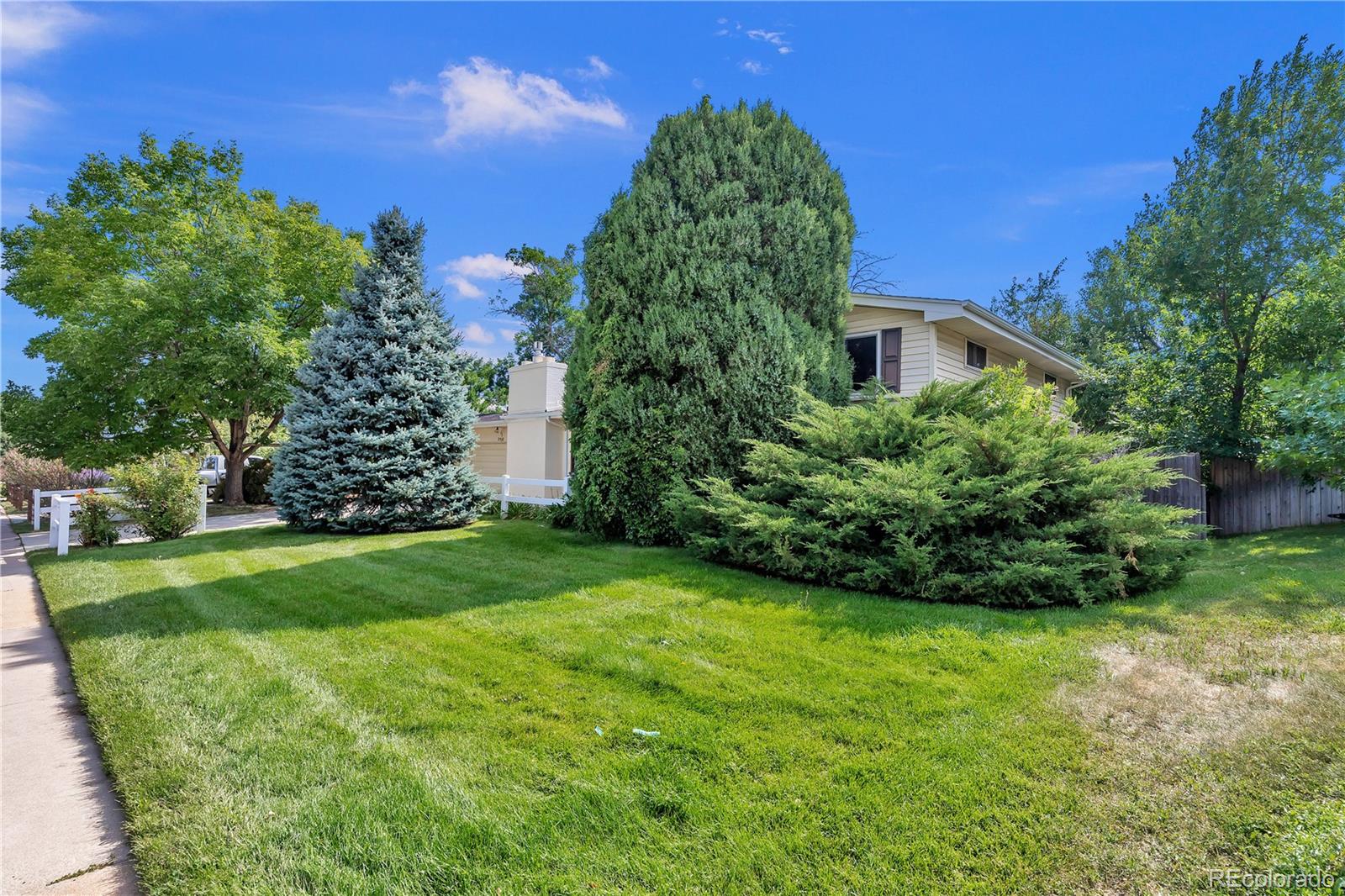 MLS Image #3 for 2502  beech court,golden, Colorado