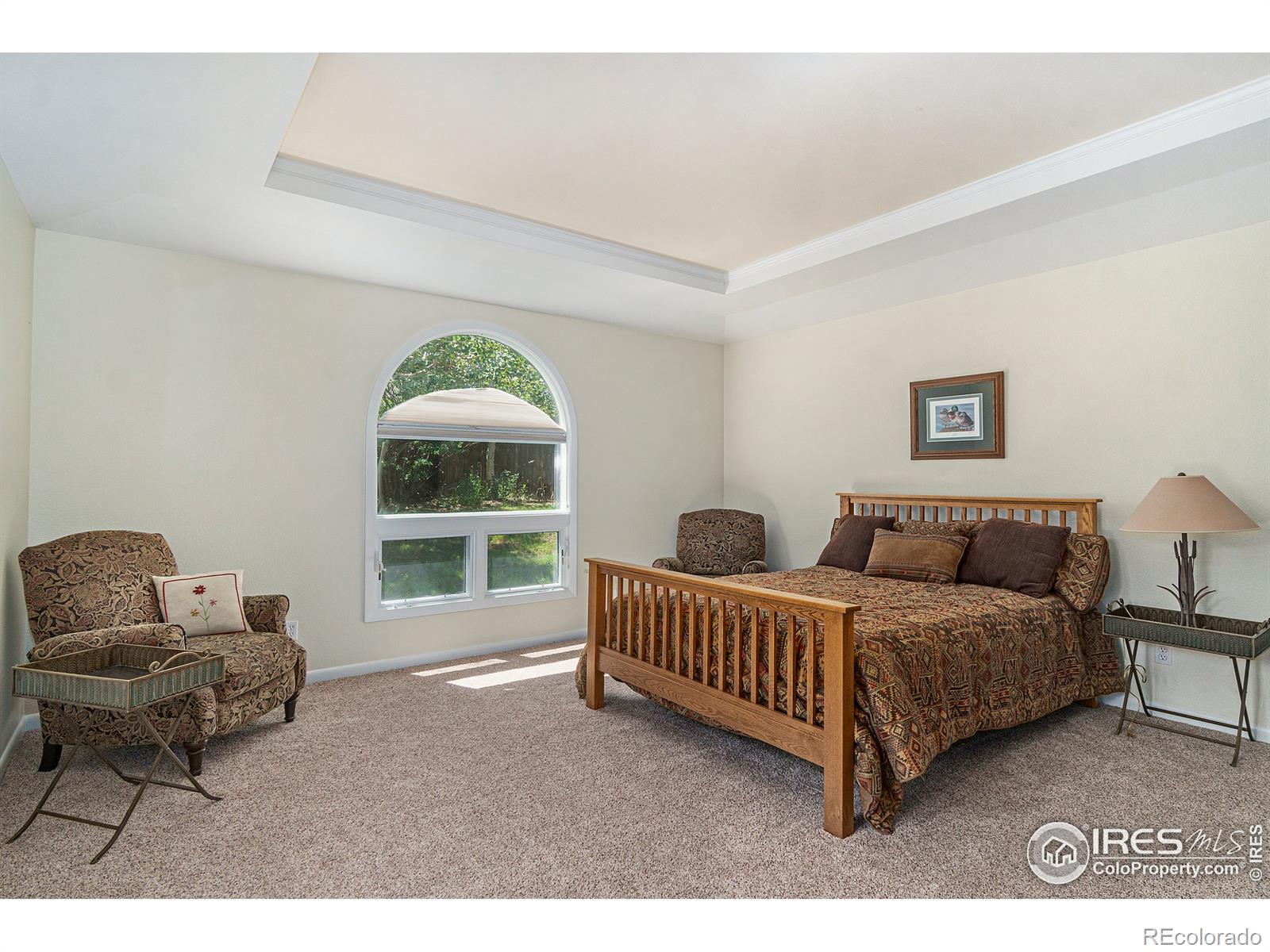 MLS Image #12 for 1062  tranquil lane,estes park, Colorado