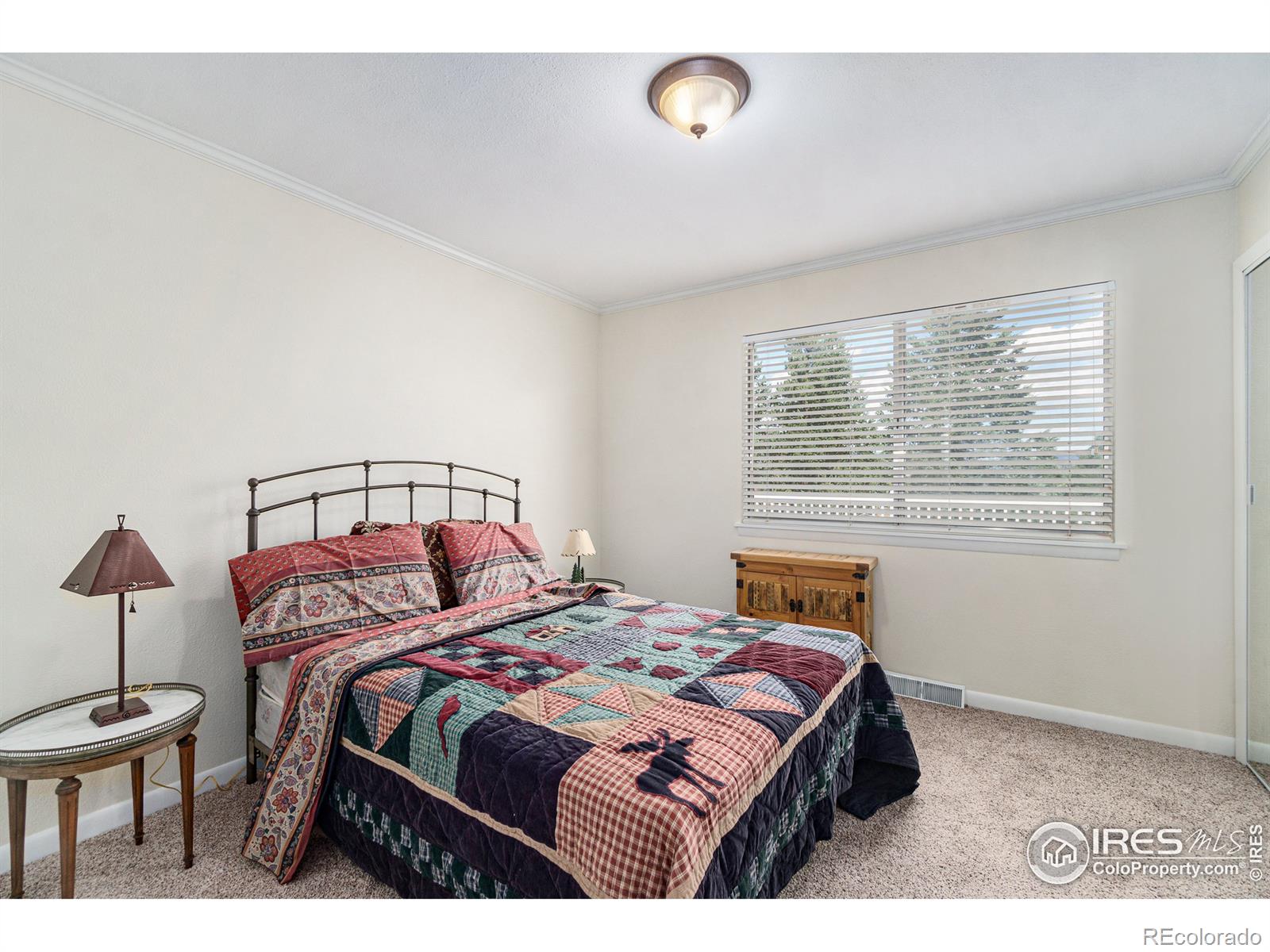 MLS Image #18 for 1062  tranquil lane,estes park, Colorado