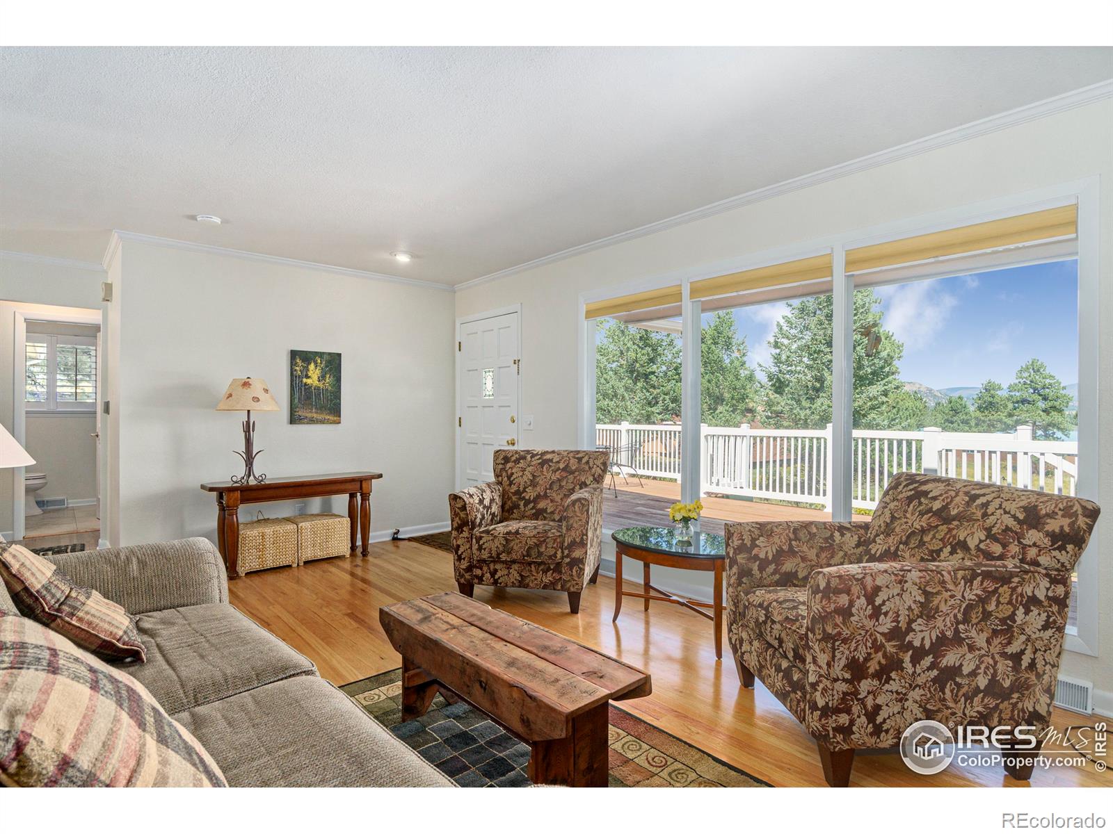 MLS Image #5 for 1062  tranquil lane,estes park, Colorado